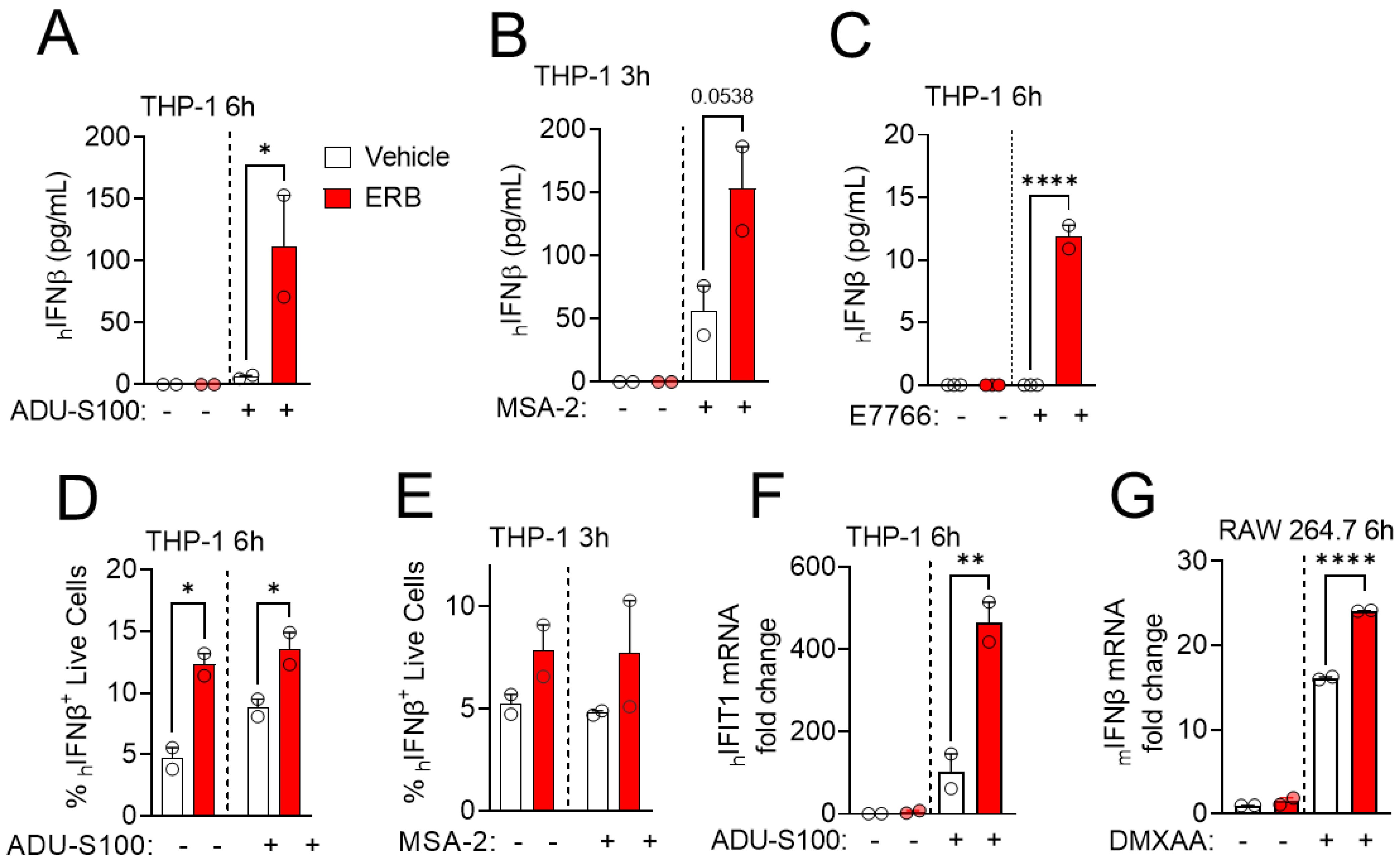 Cancers 14 05962 g002