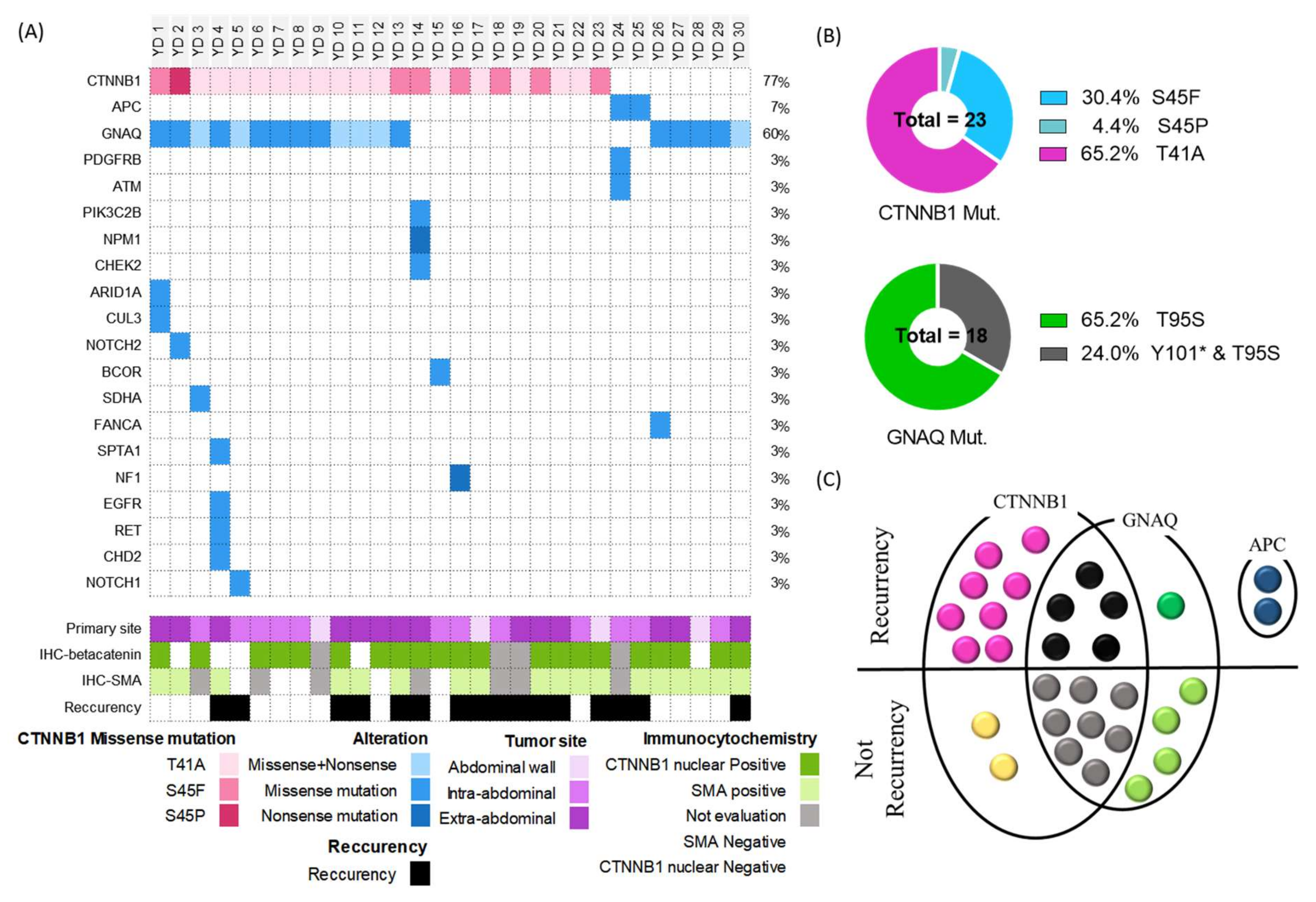Cancers 14 05975 g001