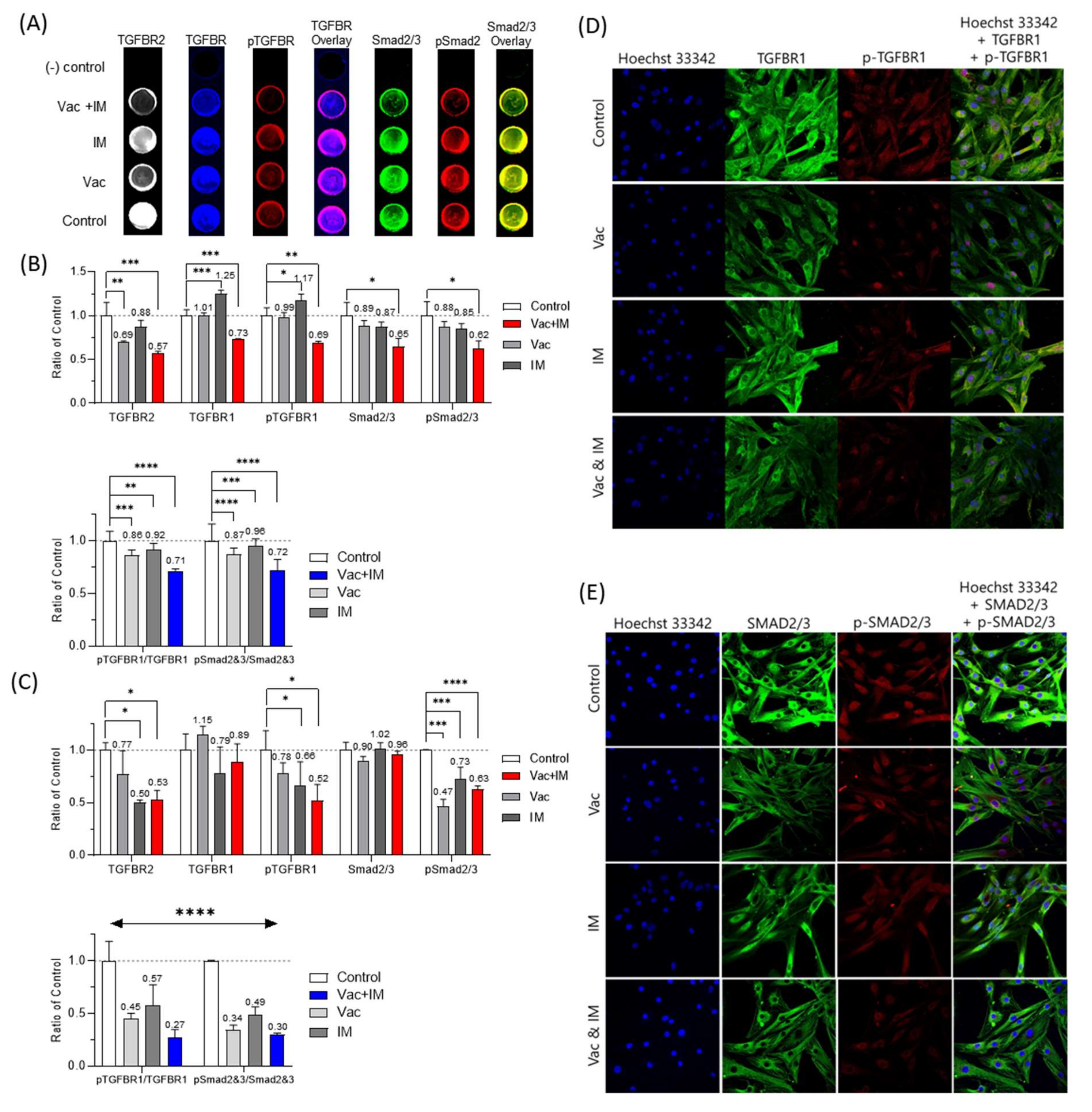 Cancers 14 05975 g004
