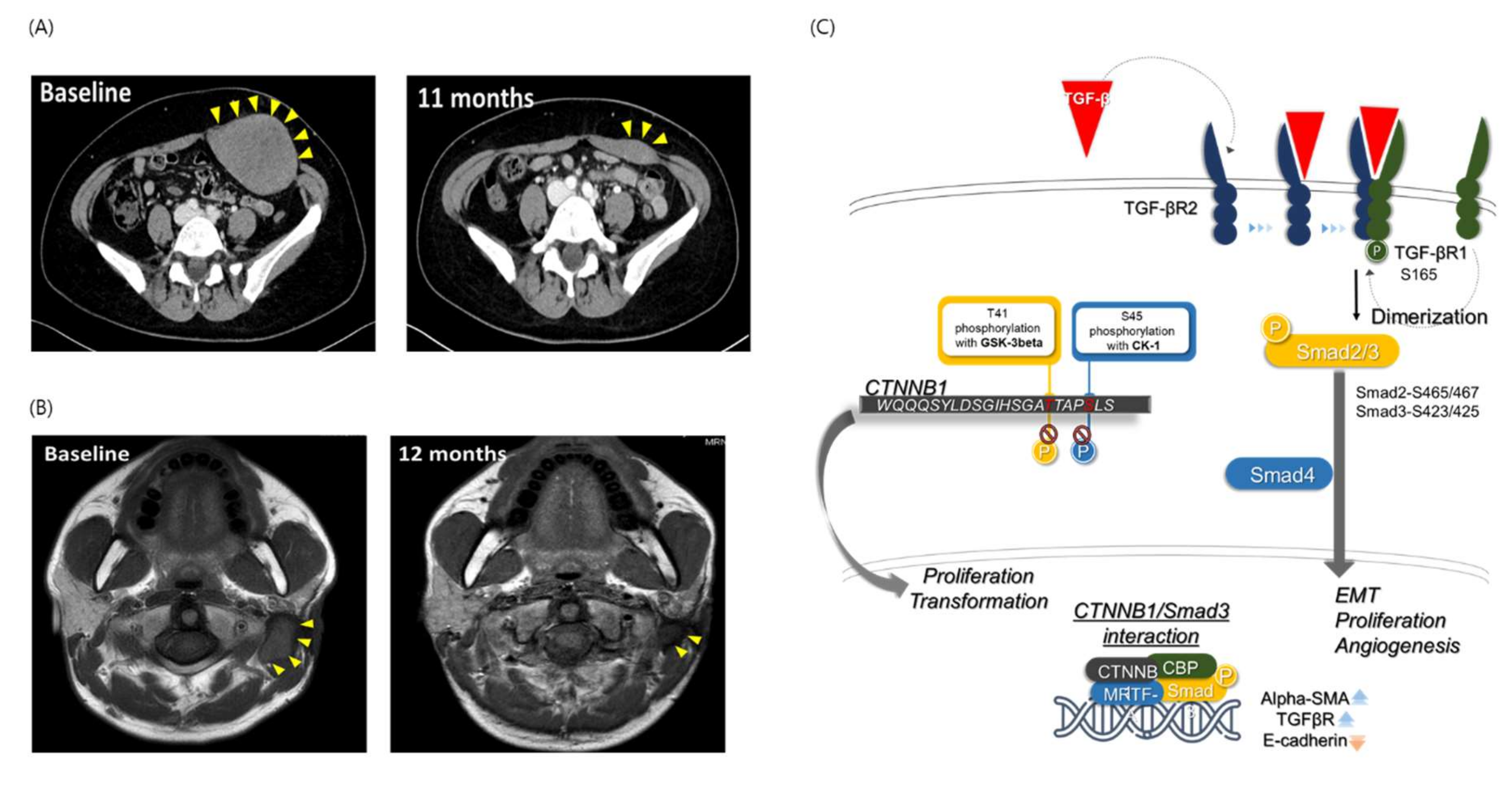 Cancers 14 05975 g005