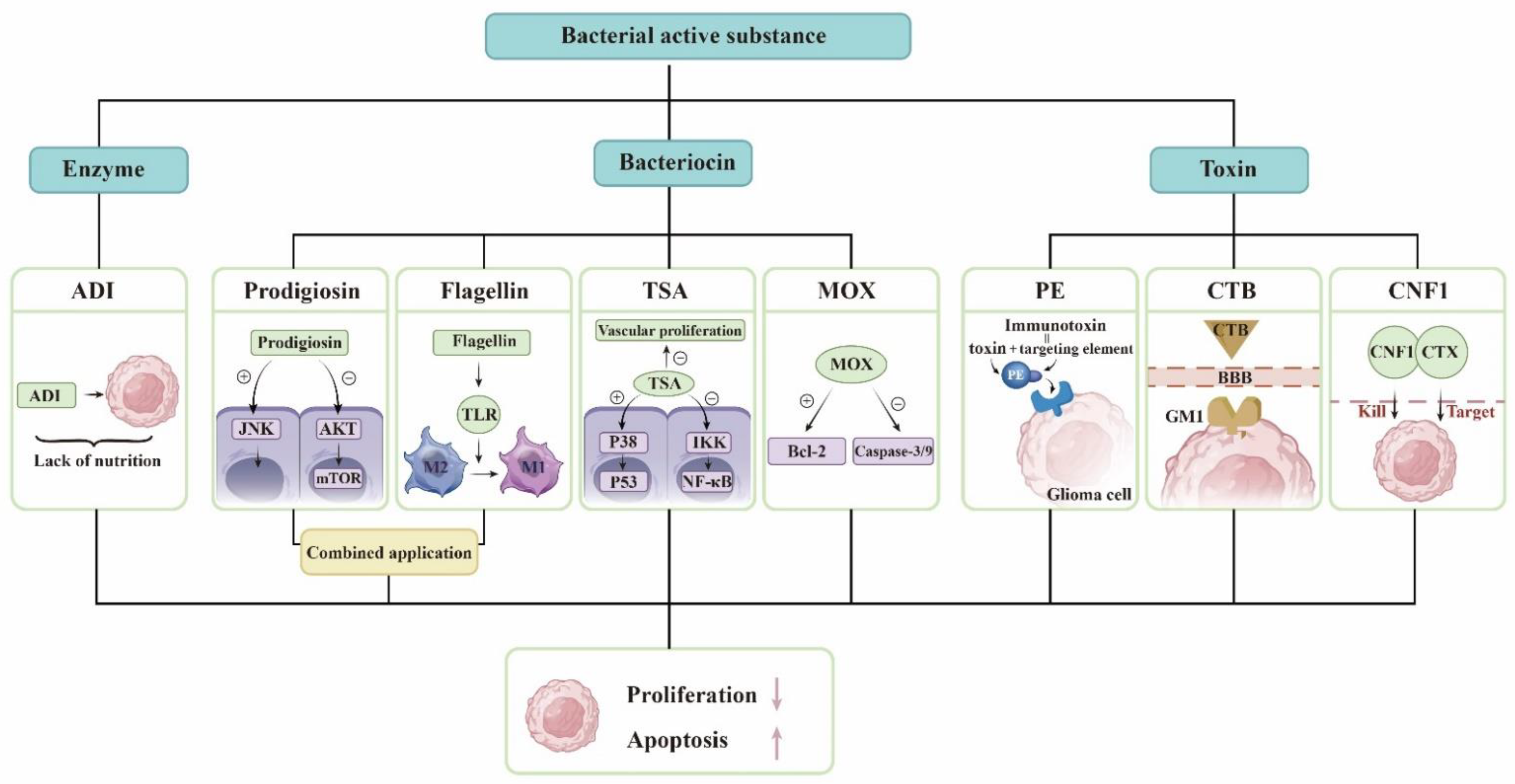 Cancers 14 05977 g001