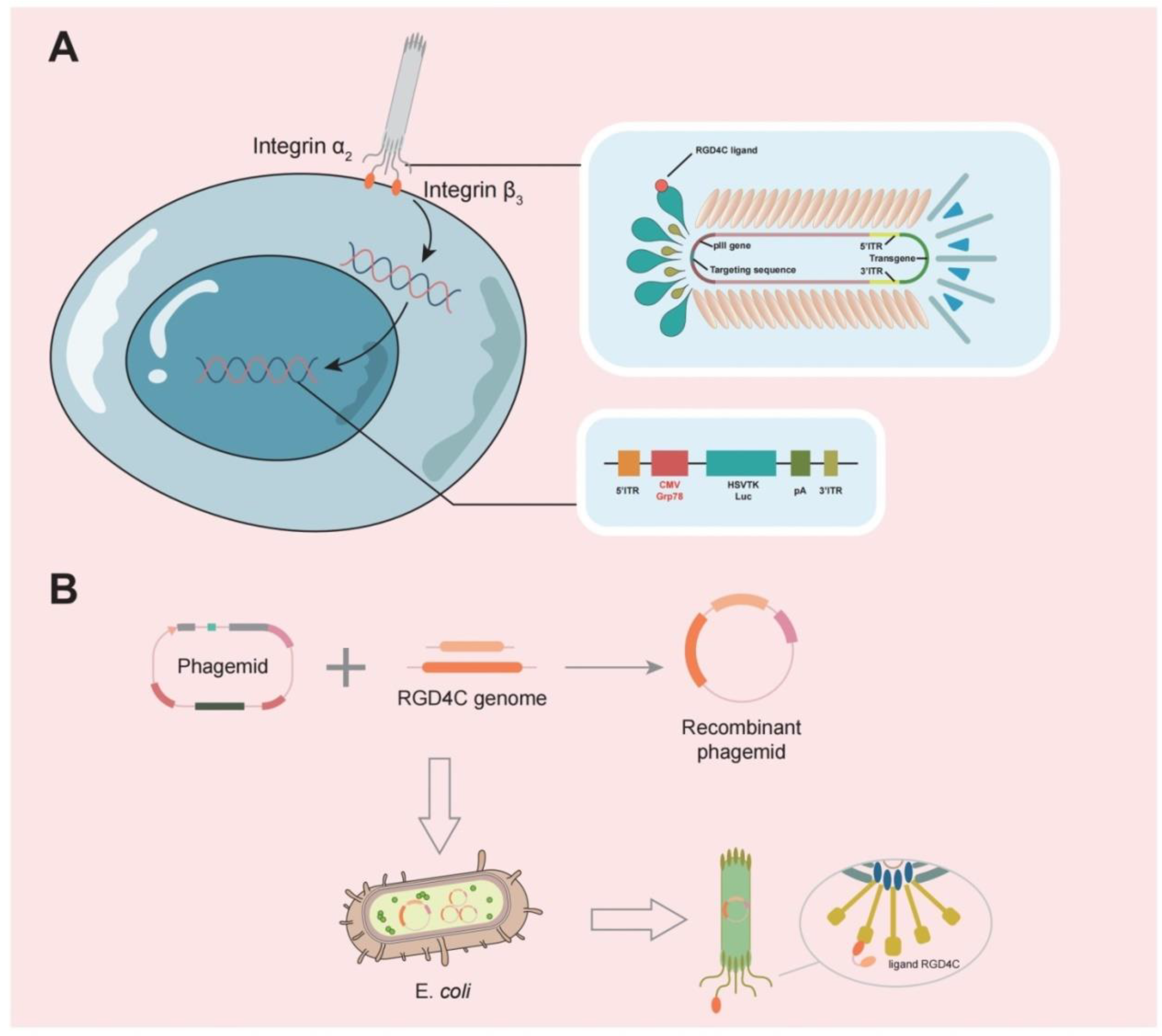 Cancers 14 05977 g003