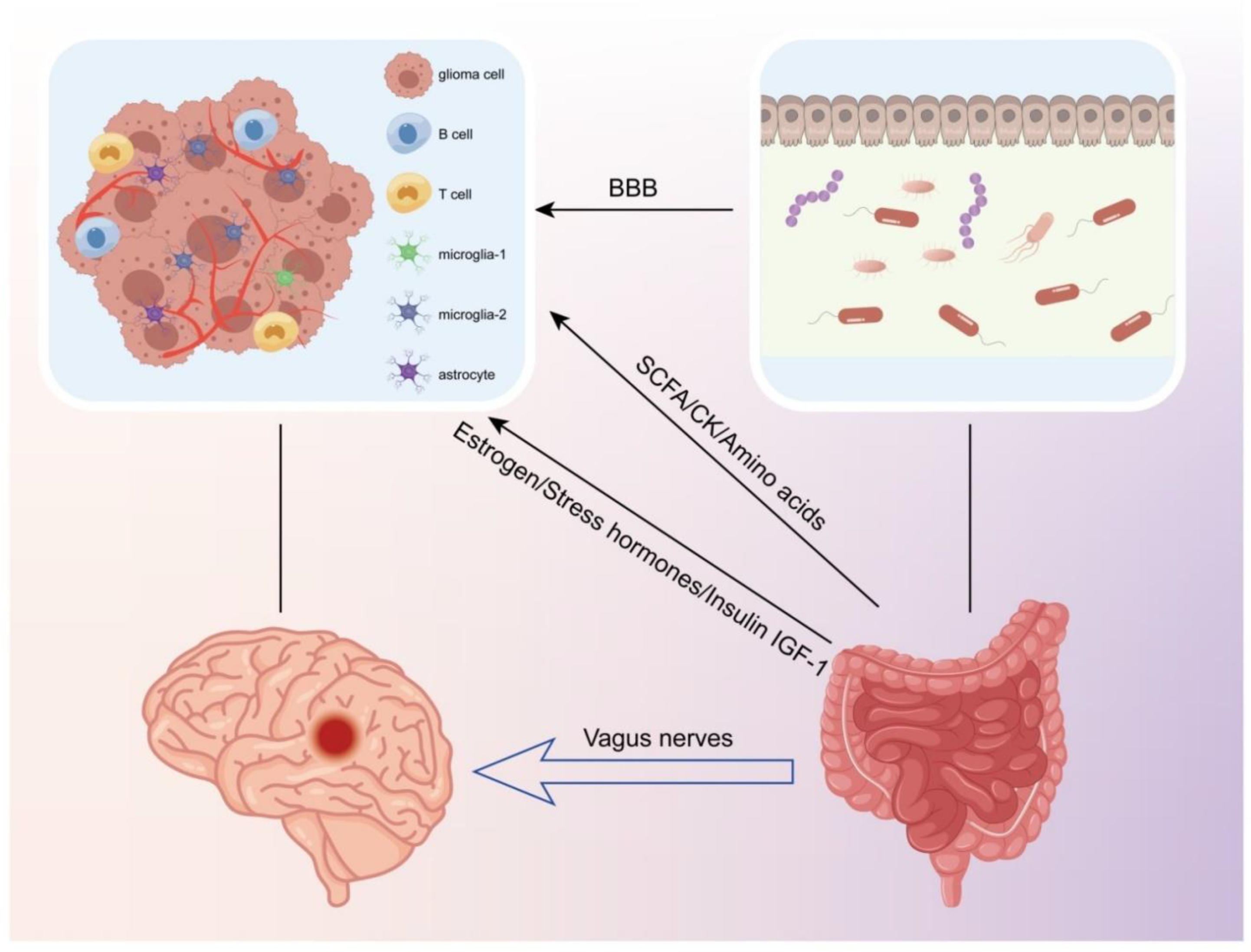 Cancers 14 05977 g005