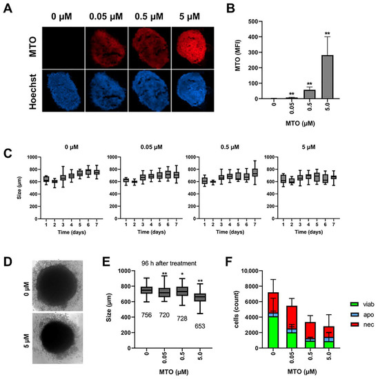 Cancers Free FullText In Vitro Setup for Determination of