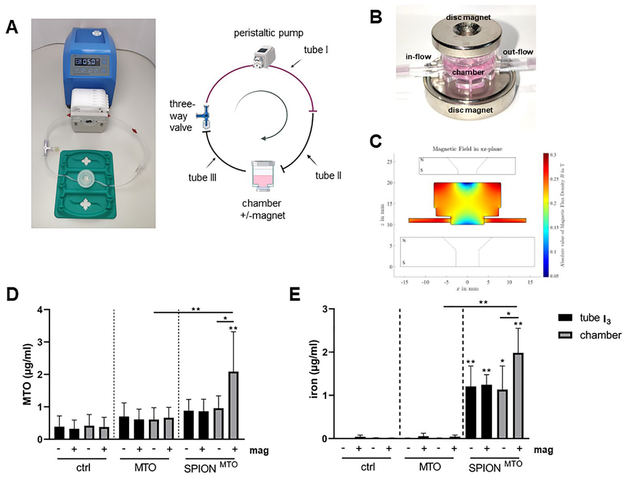 Cancers 14 05978 g003