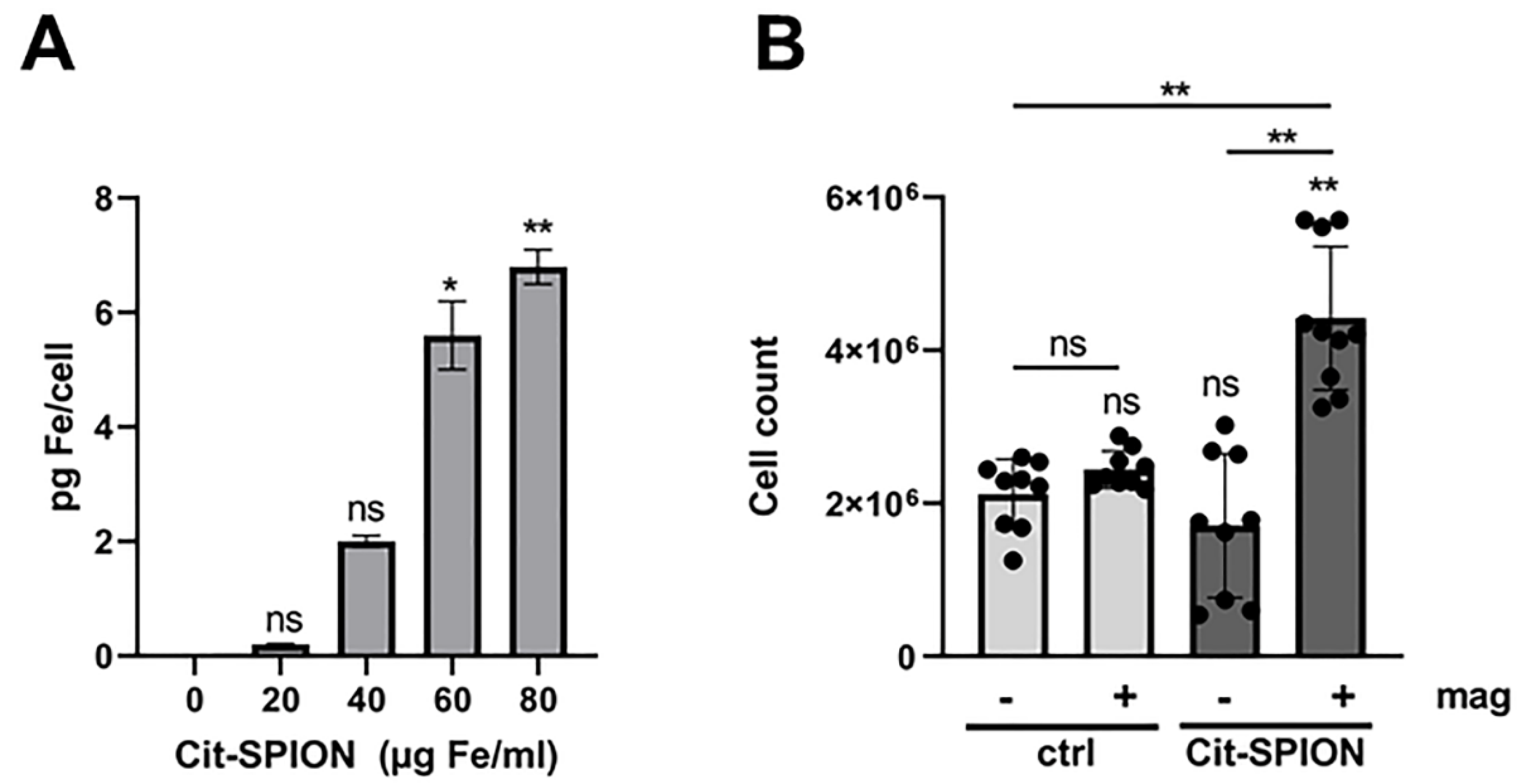 Cancers 14 05978 g005