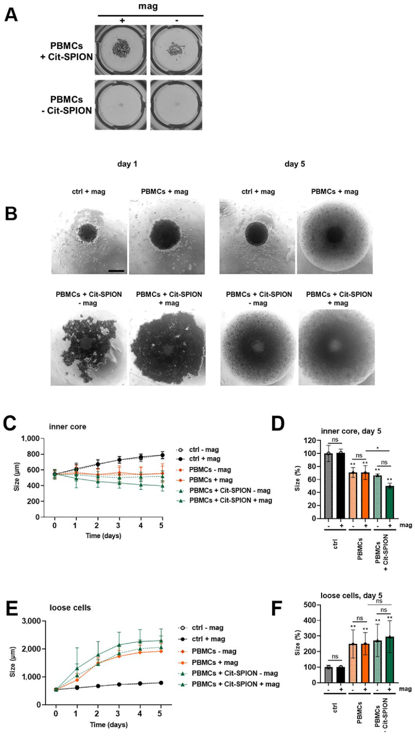 Cancers 14 05978 g006