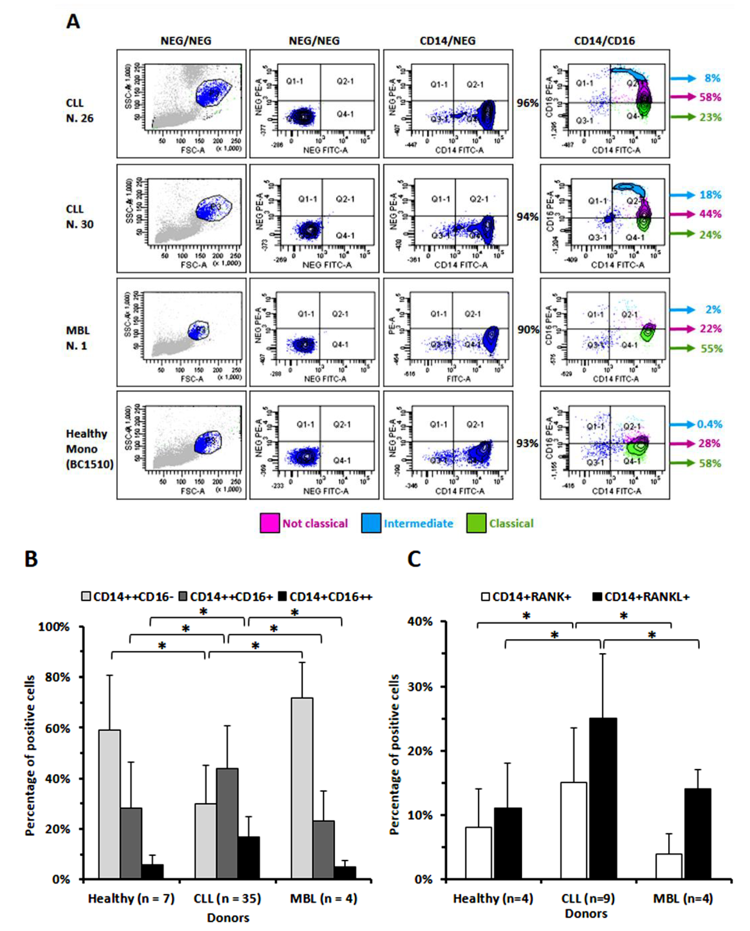 Cancers 14 05979 g001 Cancers 14 05979 g001