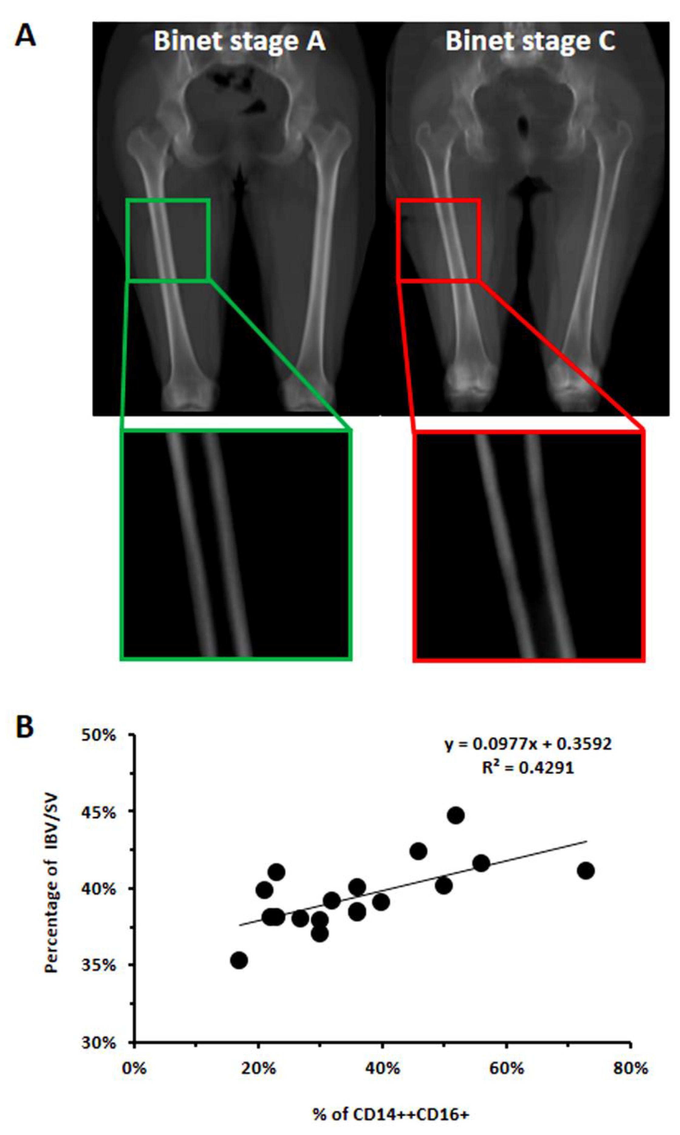 Cancers 14 05979 g003 Cancers 14 05979 g003