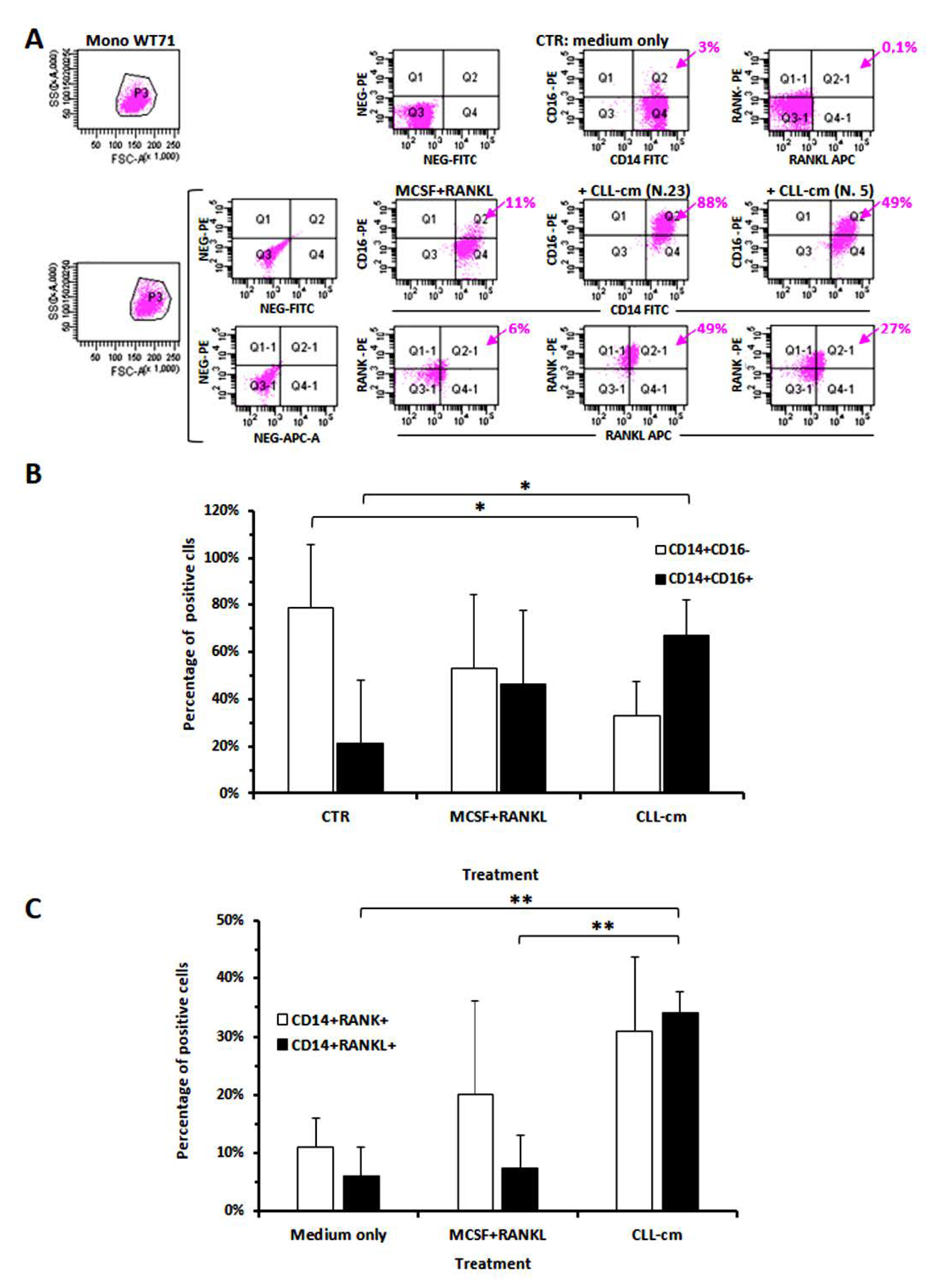 Cancers 14 05979 g004 Cancers 14 05979 g004
