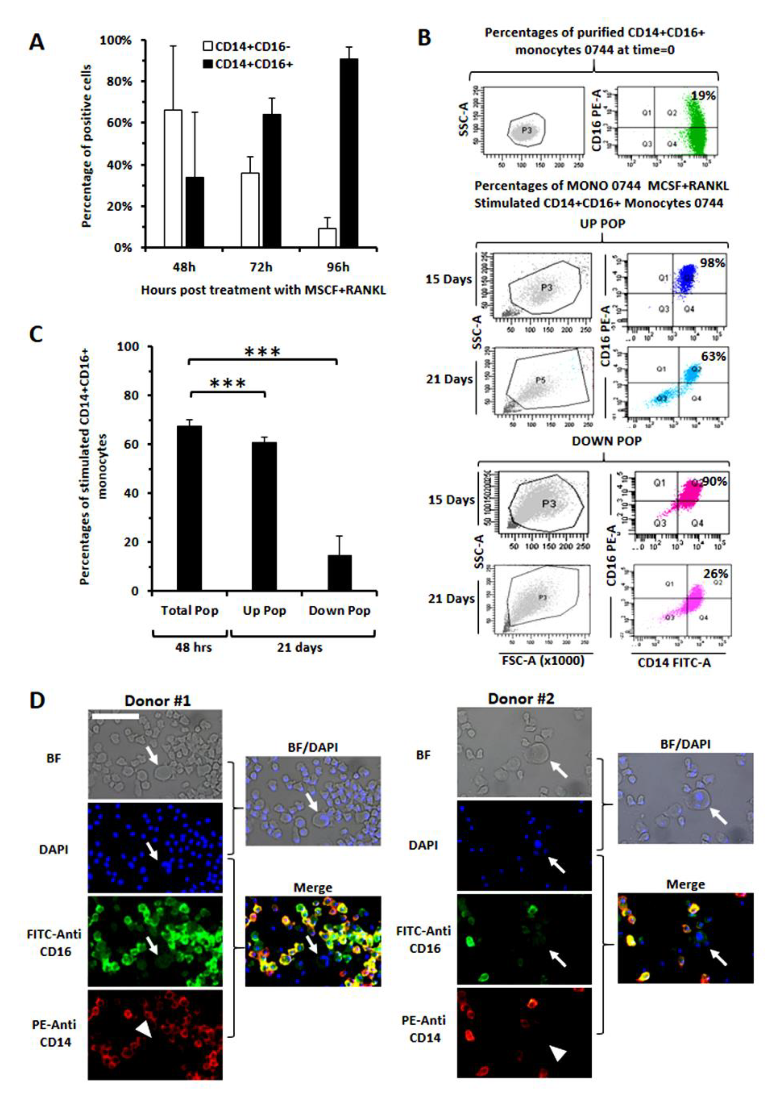 Cancers 14 05979 g005 Cancers 14 05979 g005