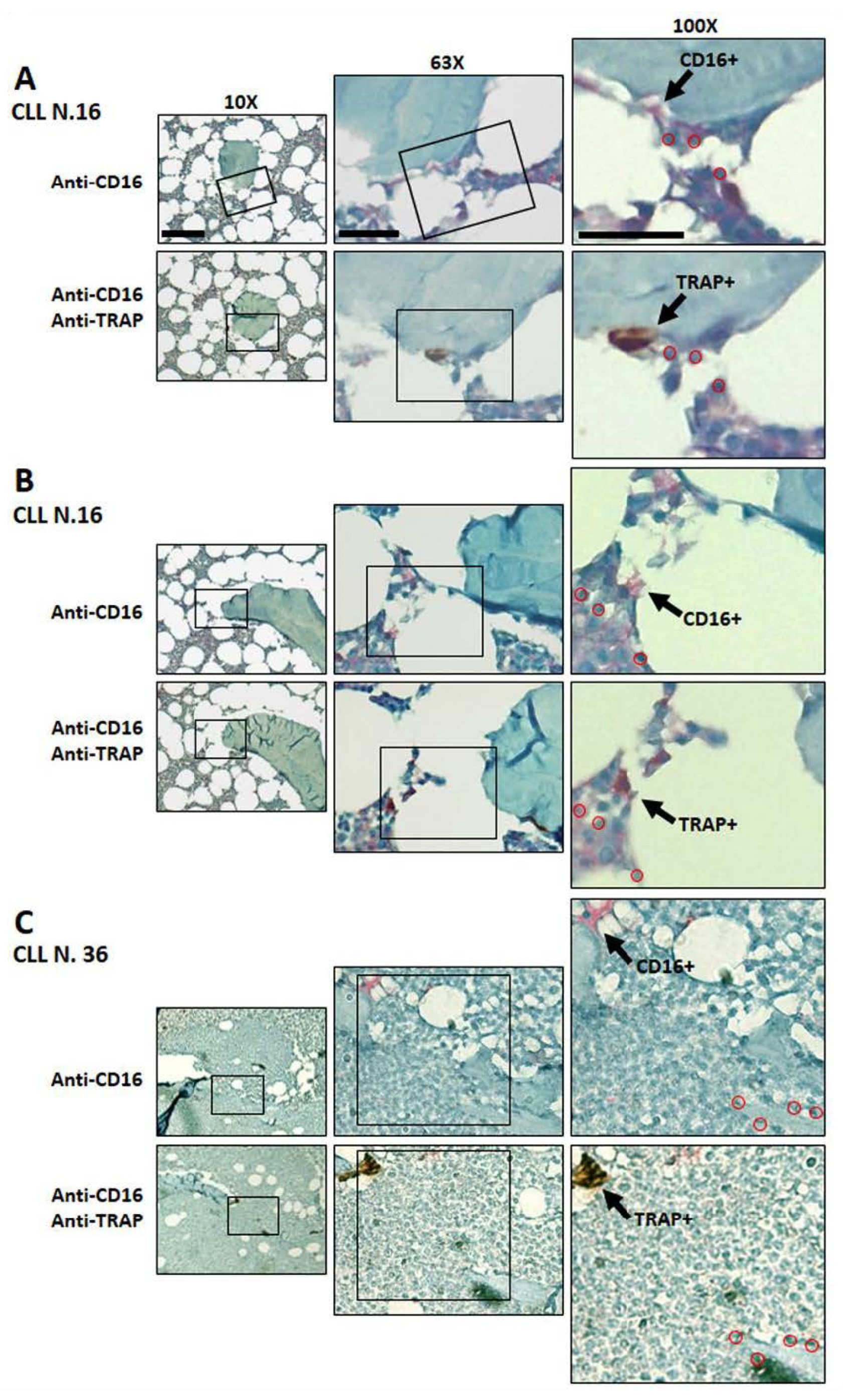 Cancers 14 05979 g008 Cancers 14 05979 g008