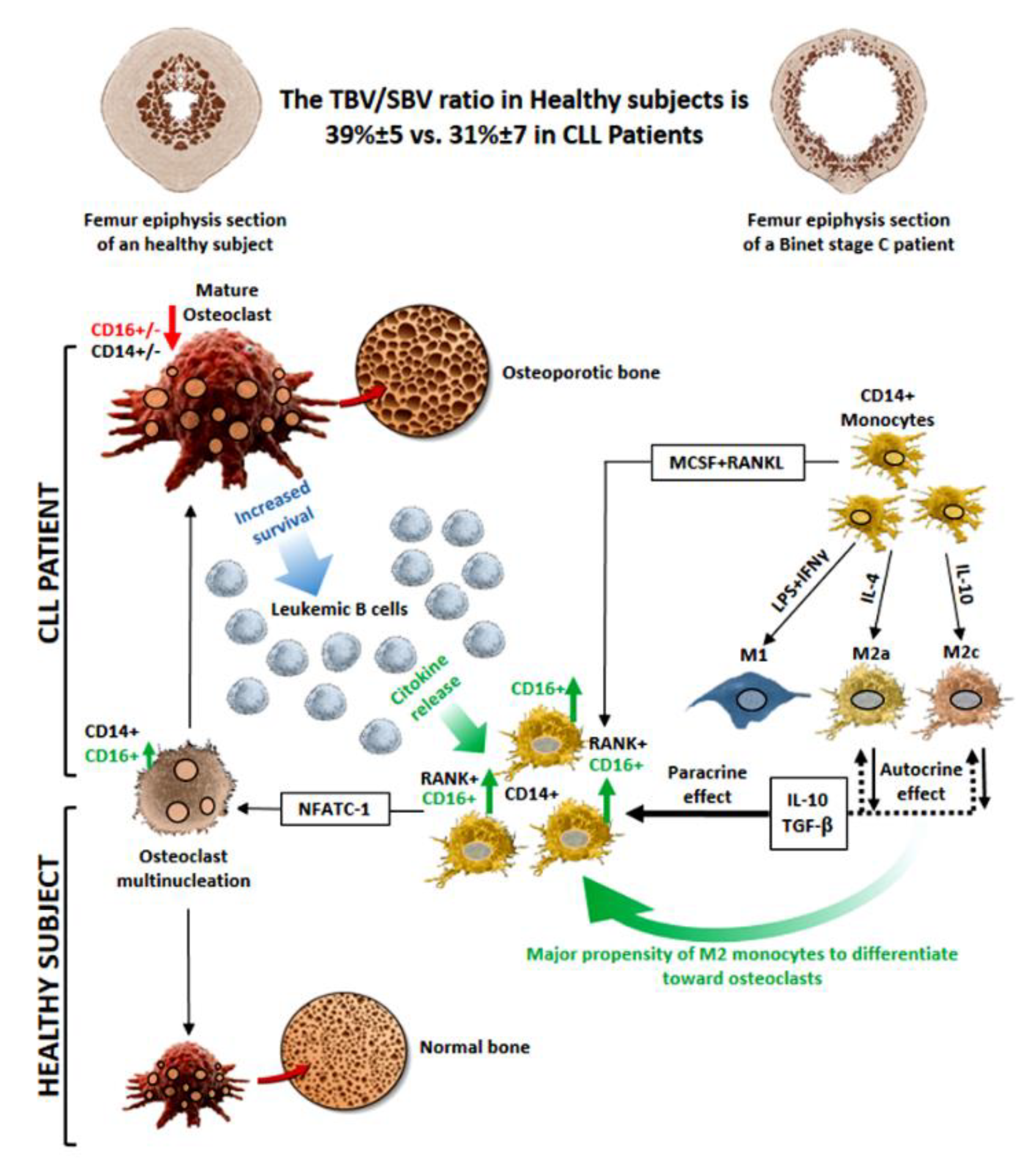 Cancers 14 05979 g012 Cancers 14 05979 g012