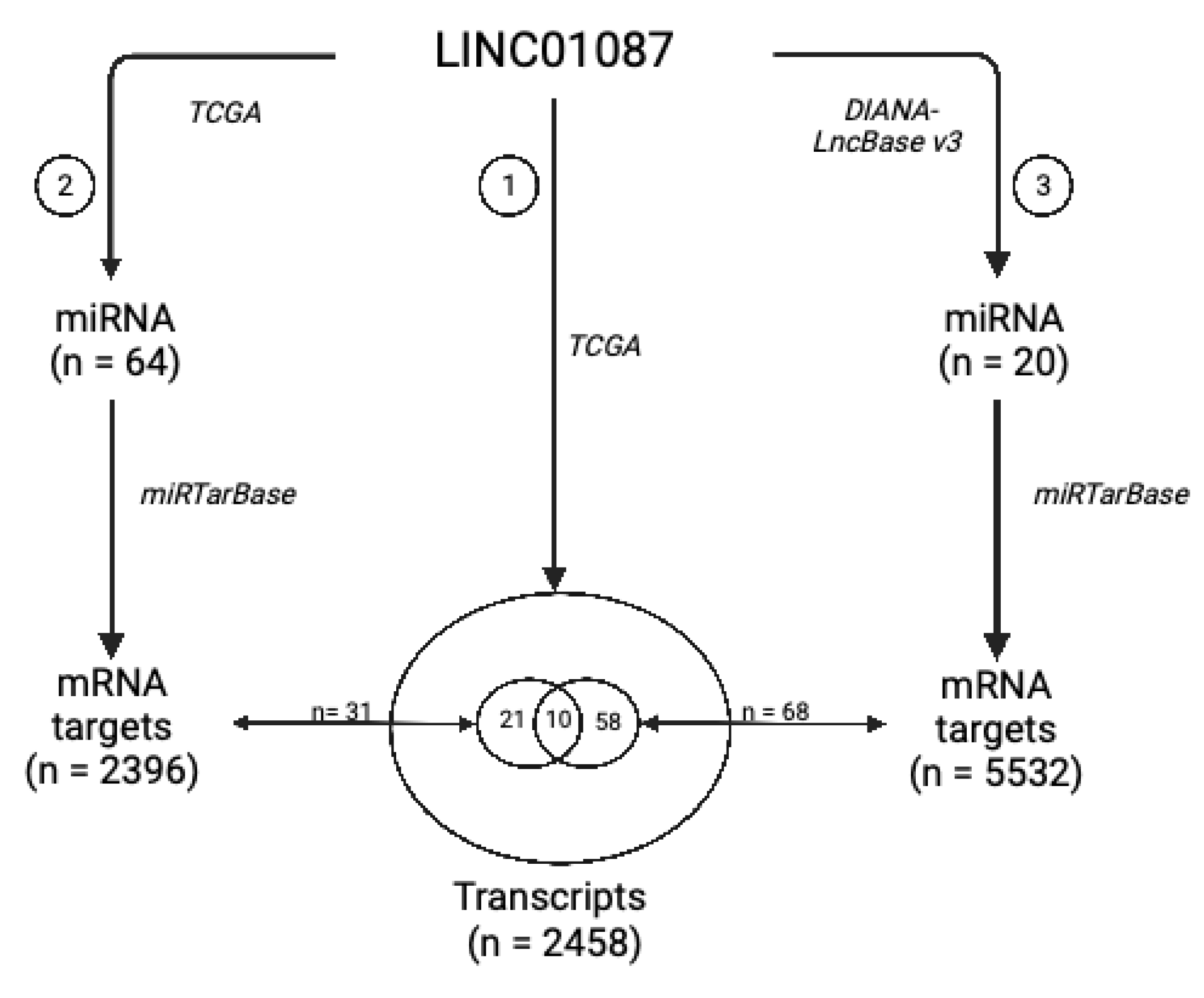 Cancers 14 05980 g003 Cancers 14 05980 g003