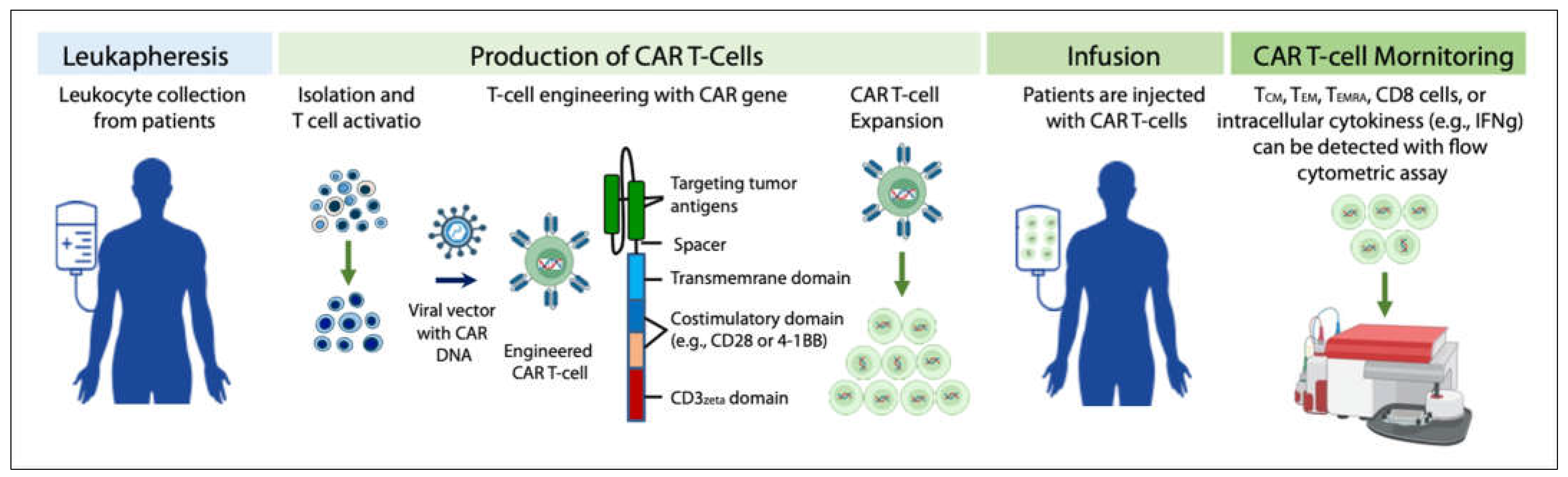 Cancers 14 05983 g001 Cancers 14 05983 g001