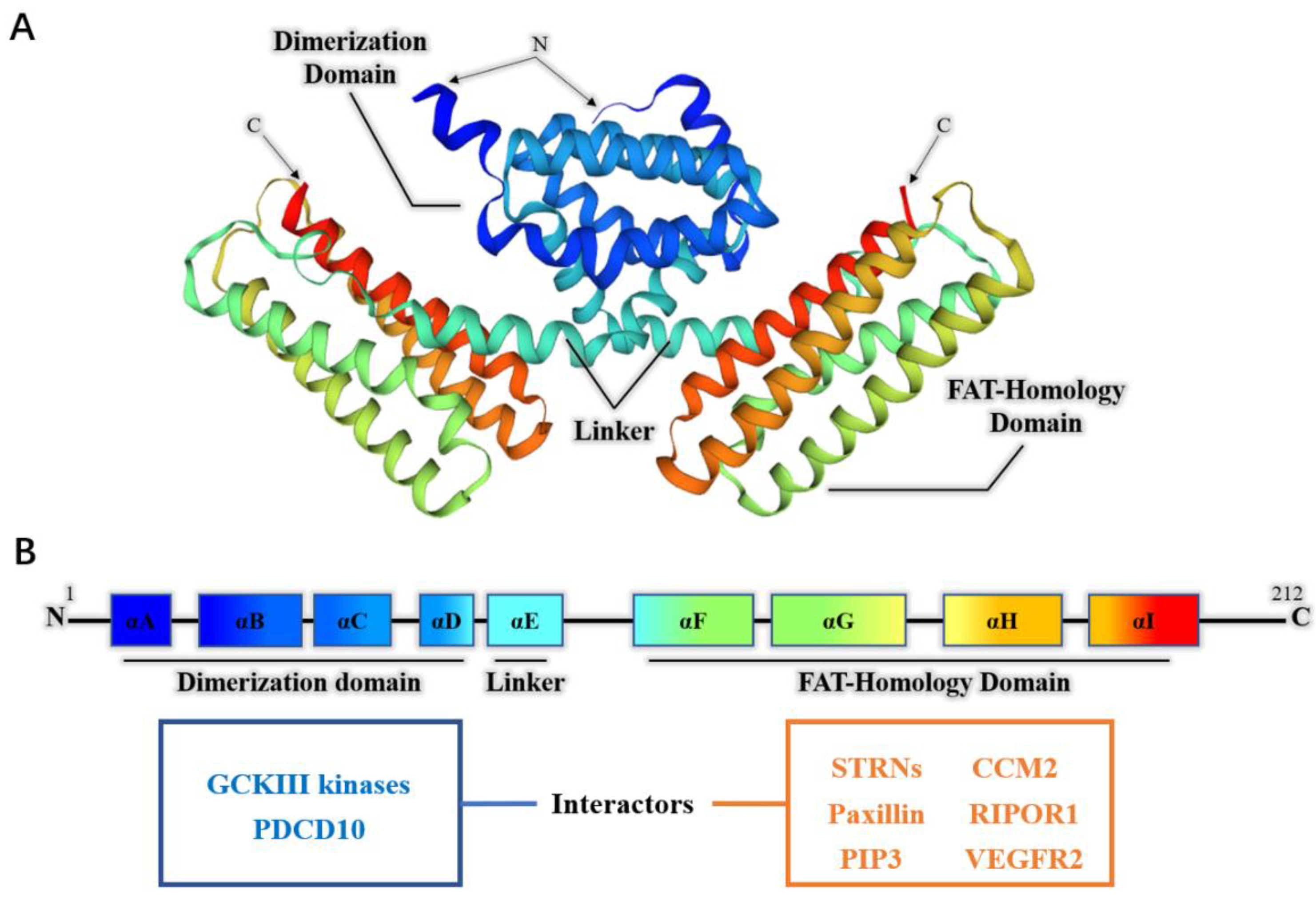 Cancers 14 05986 g001