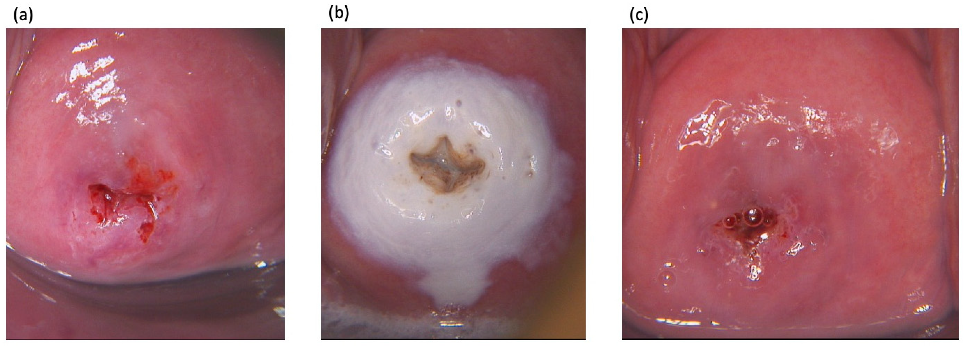 Cancers 14 05991 g002