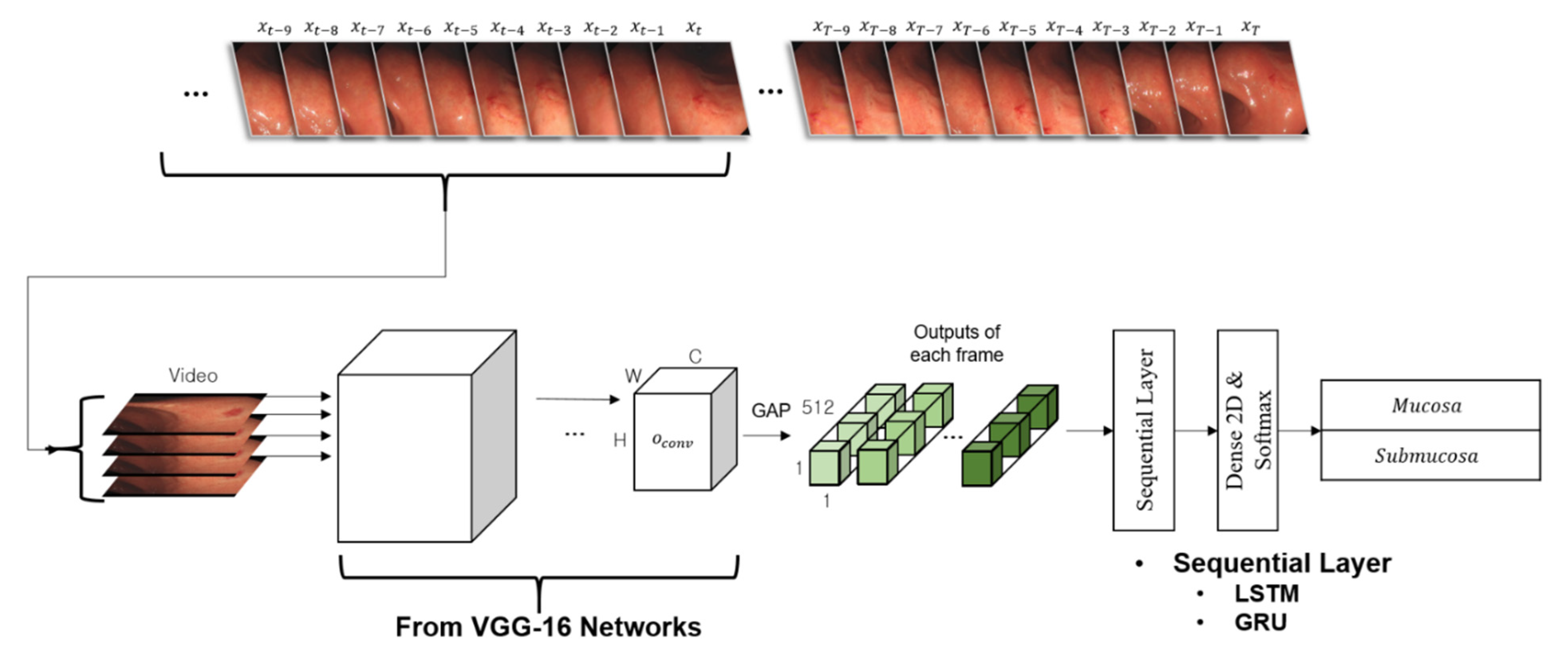 Cancers 14 06000 g002