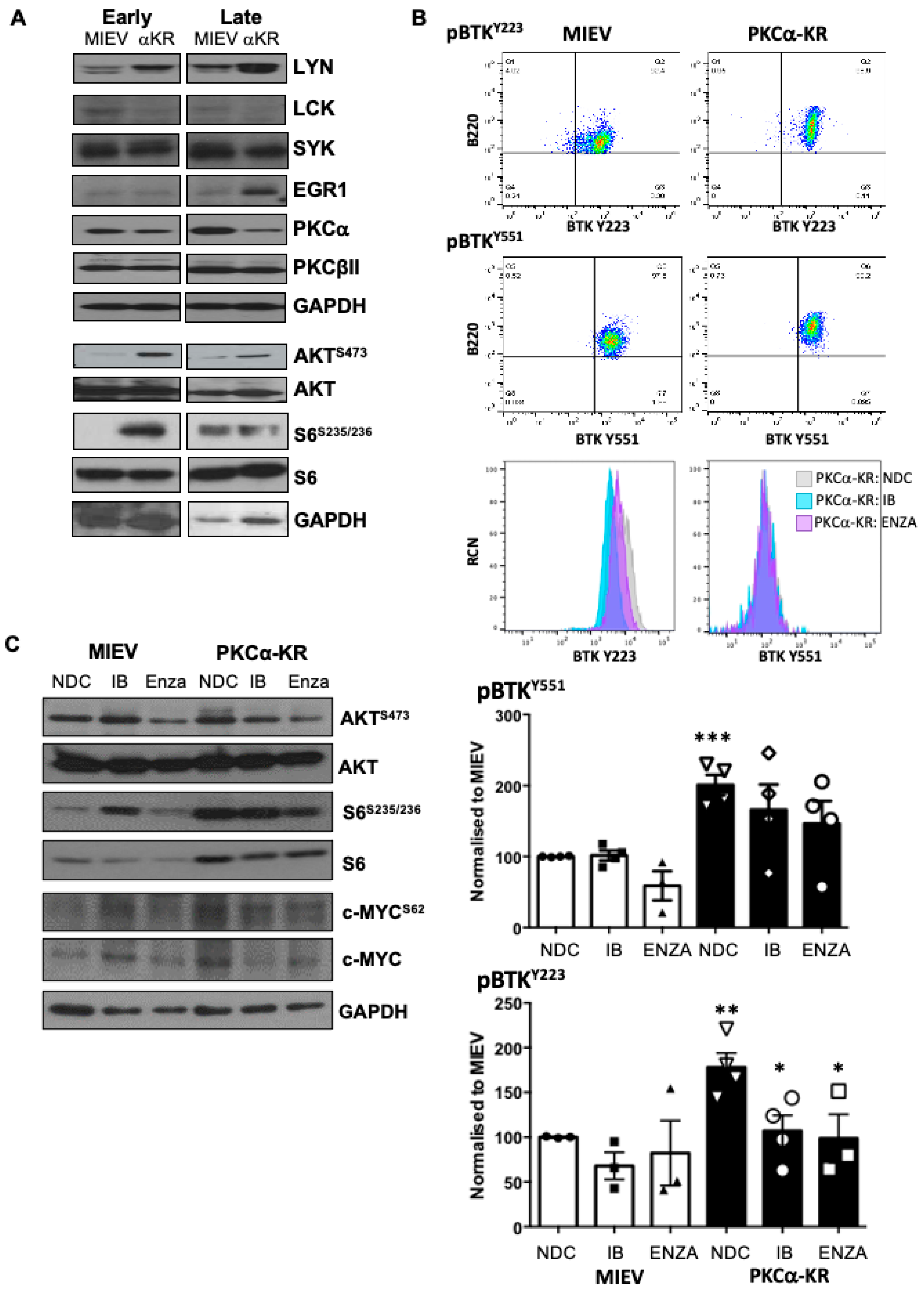 Cancers 14 06006 g005