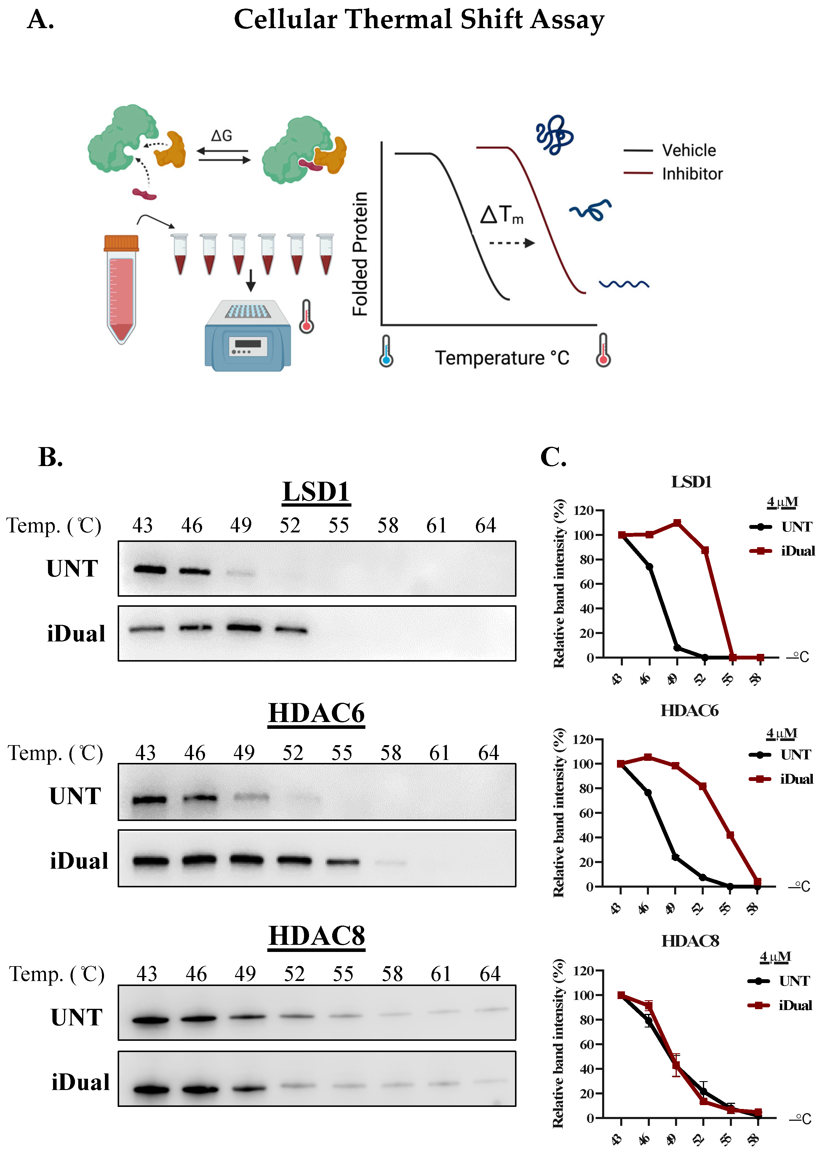 Cancers 14 06014 g002 Cancers 14 06014 g002