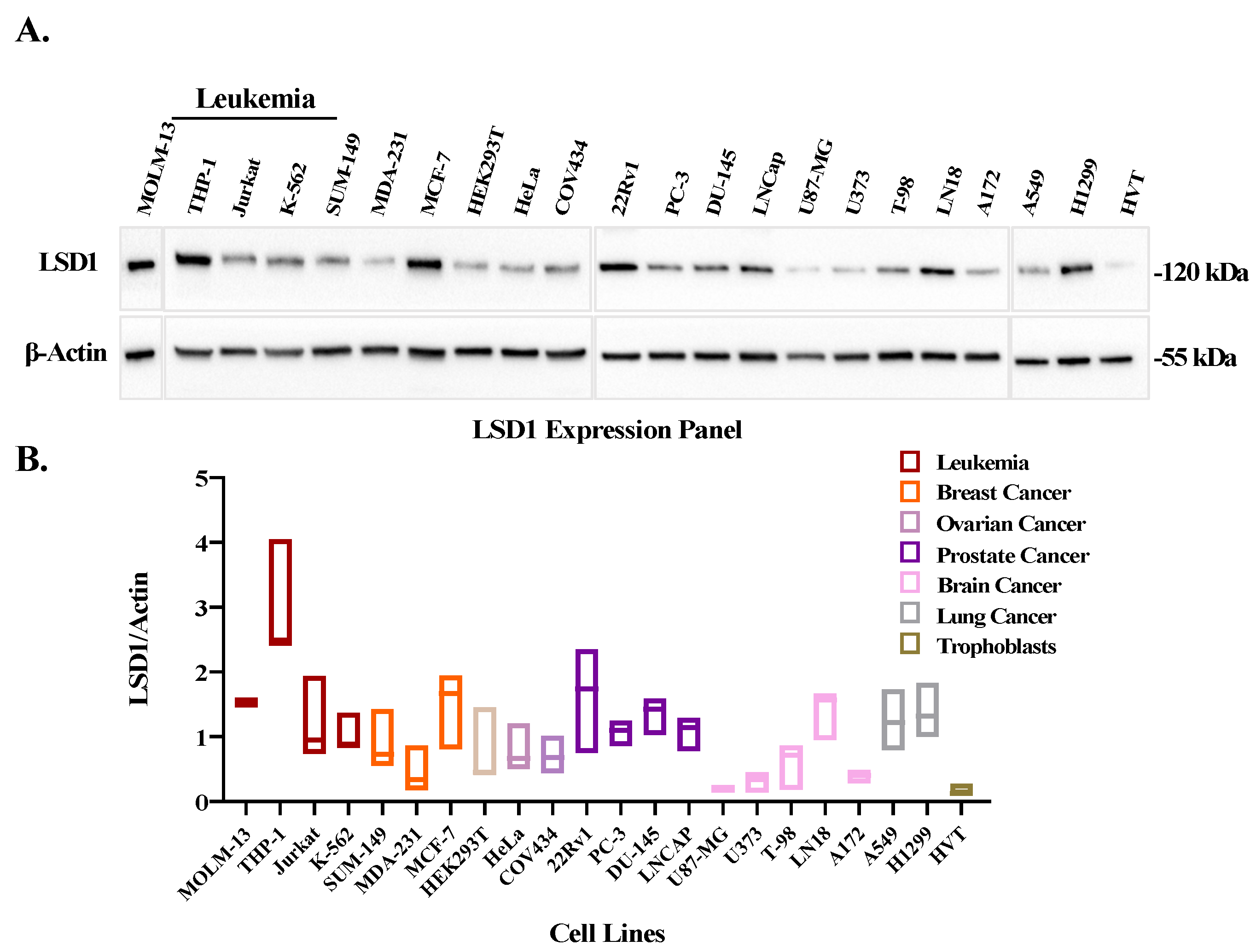Cancers 14 06014 g003 Cancers 14 06014 g003
