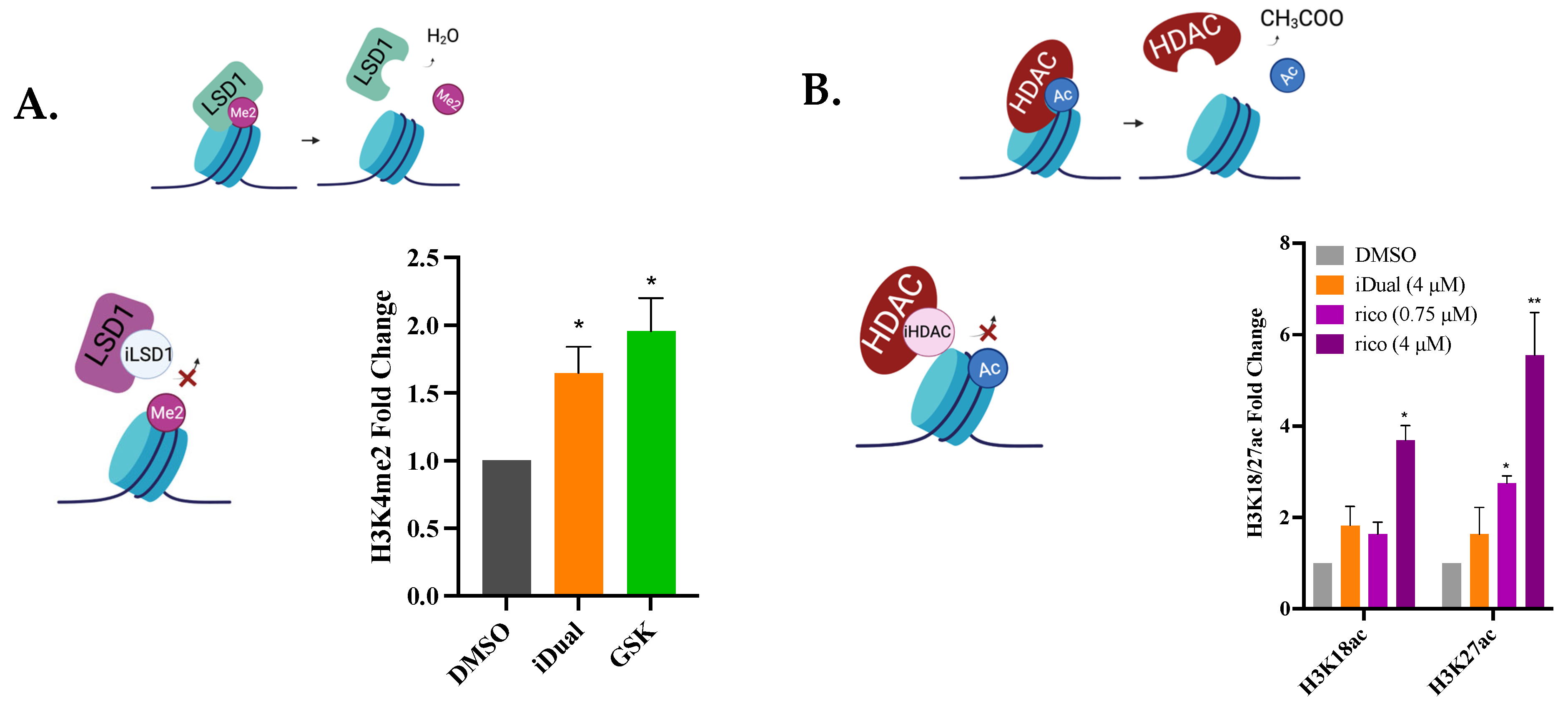 Cancers 14 06014 g004a Cancers 14 06014 g004a