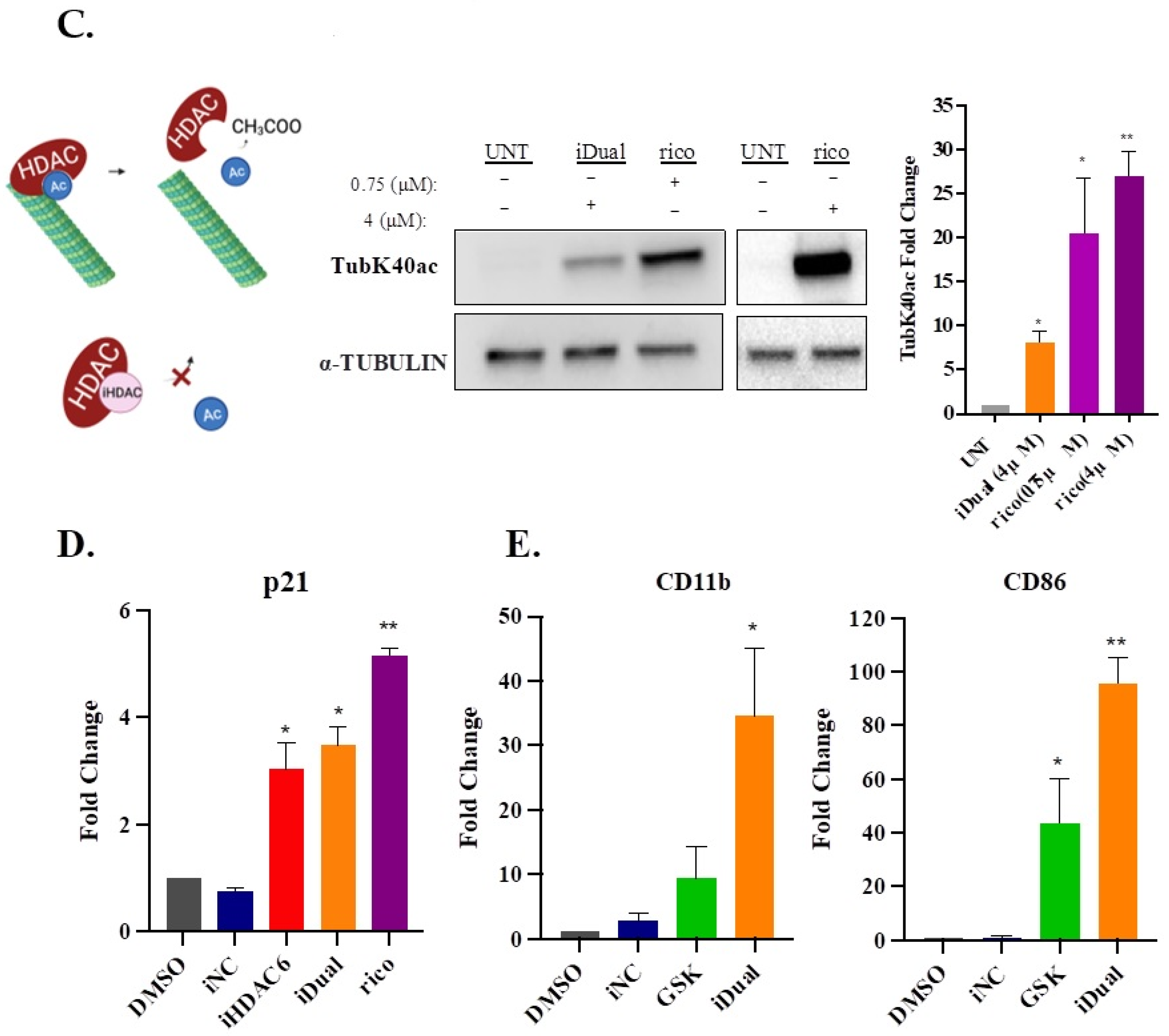 Cancers 14 06014 g004b Cancers 14 06014 g004b