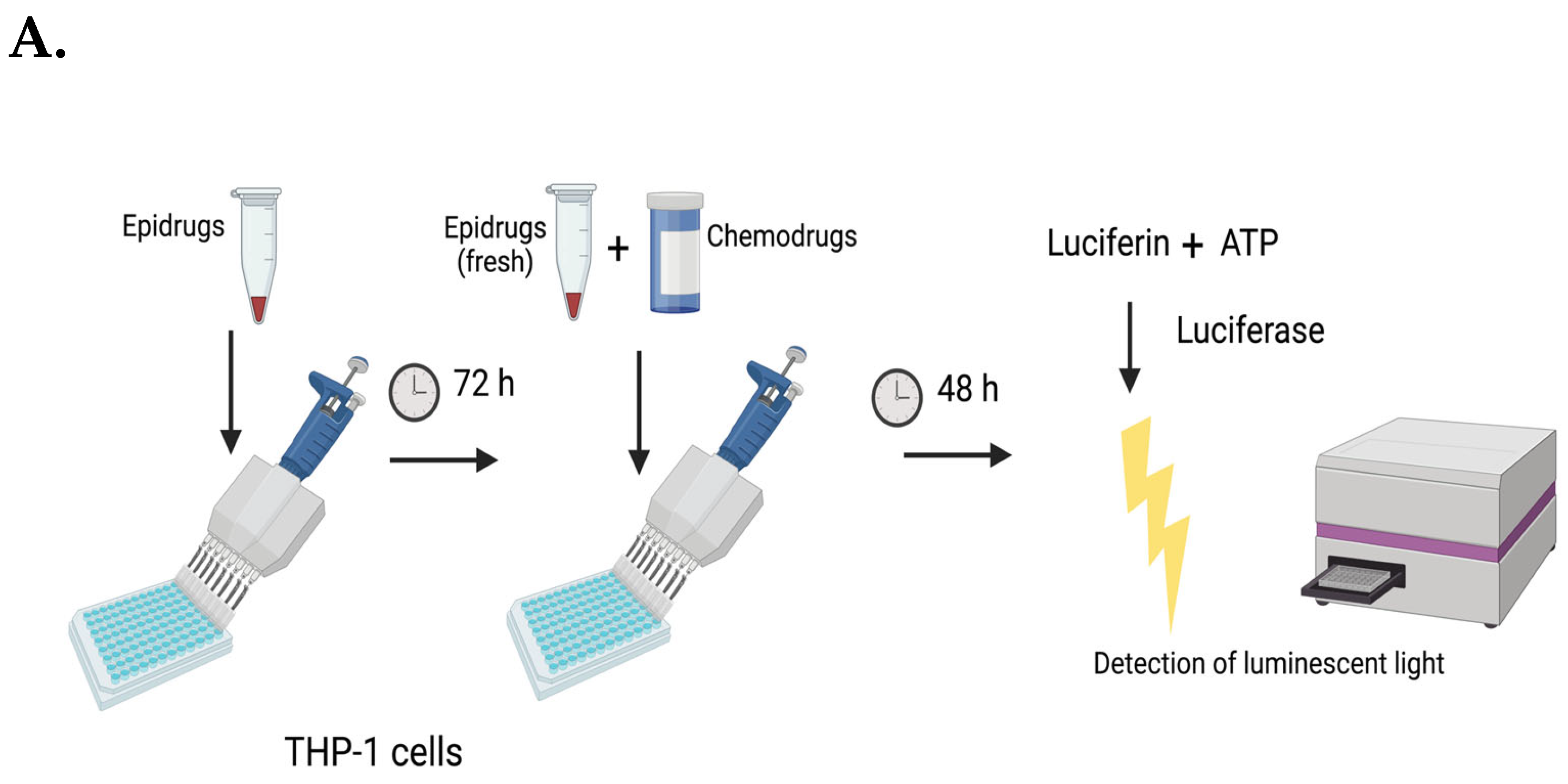 Cancers 14 06014 g005a Cancers 14 06014 g005a