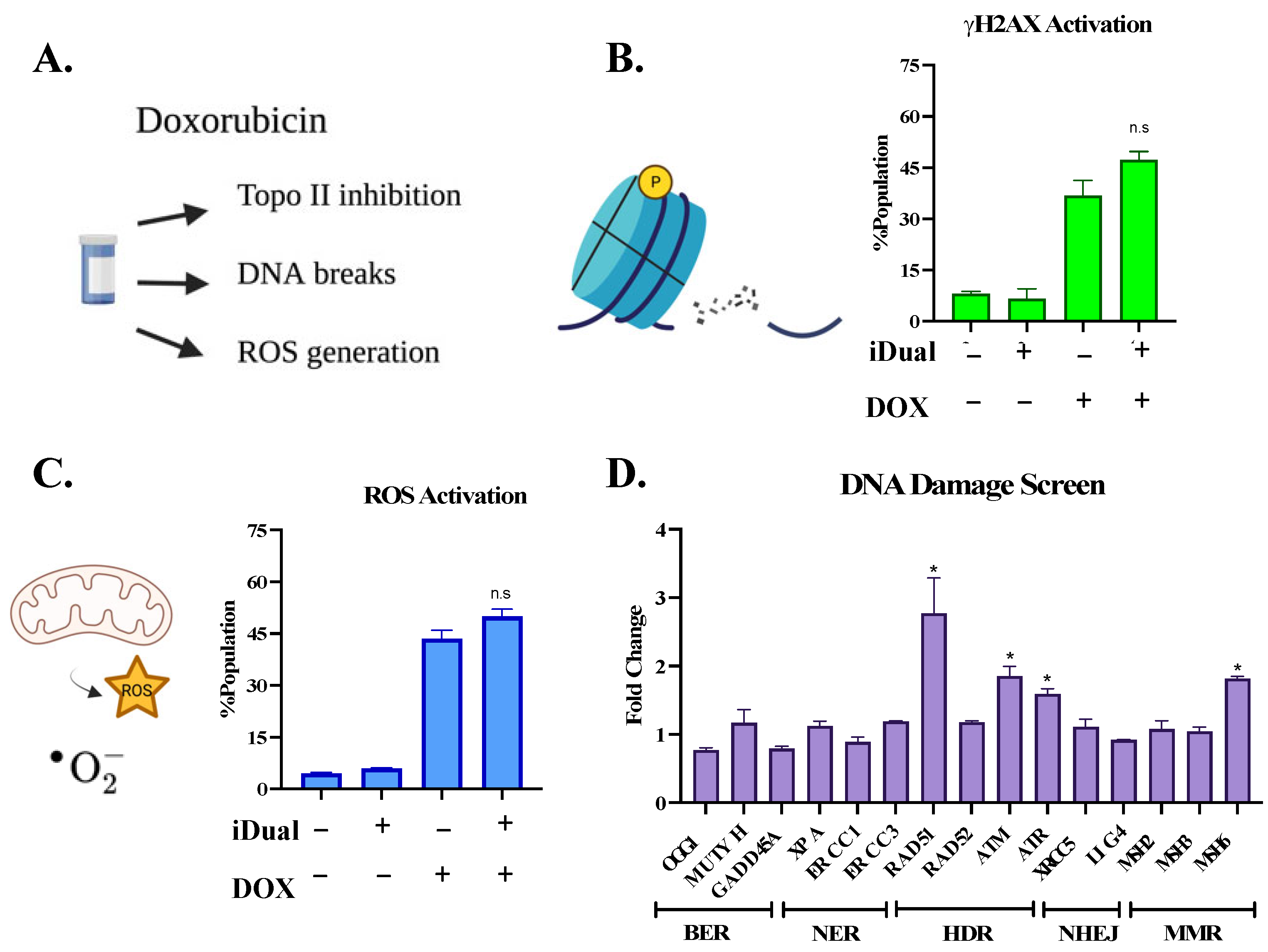 Cancers 14 06014 g007a Cancers 14 06014 g007a