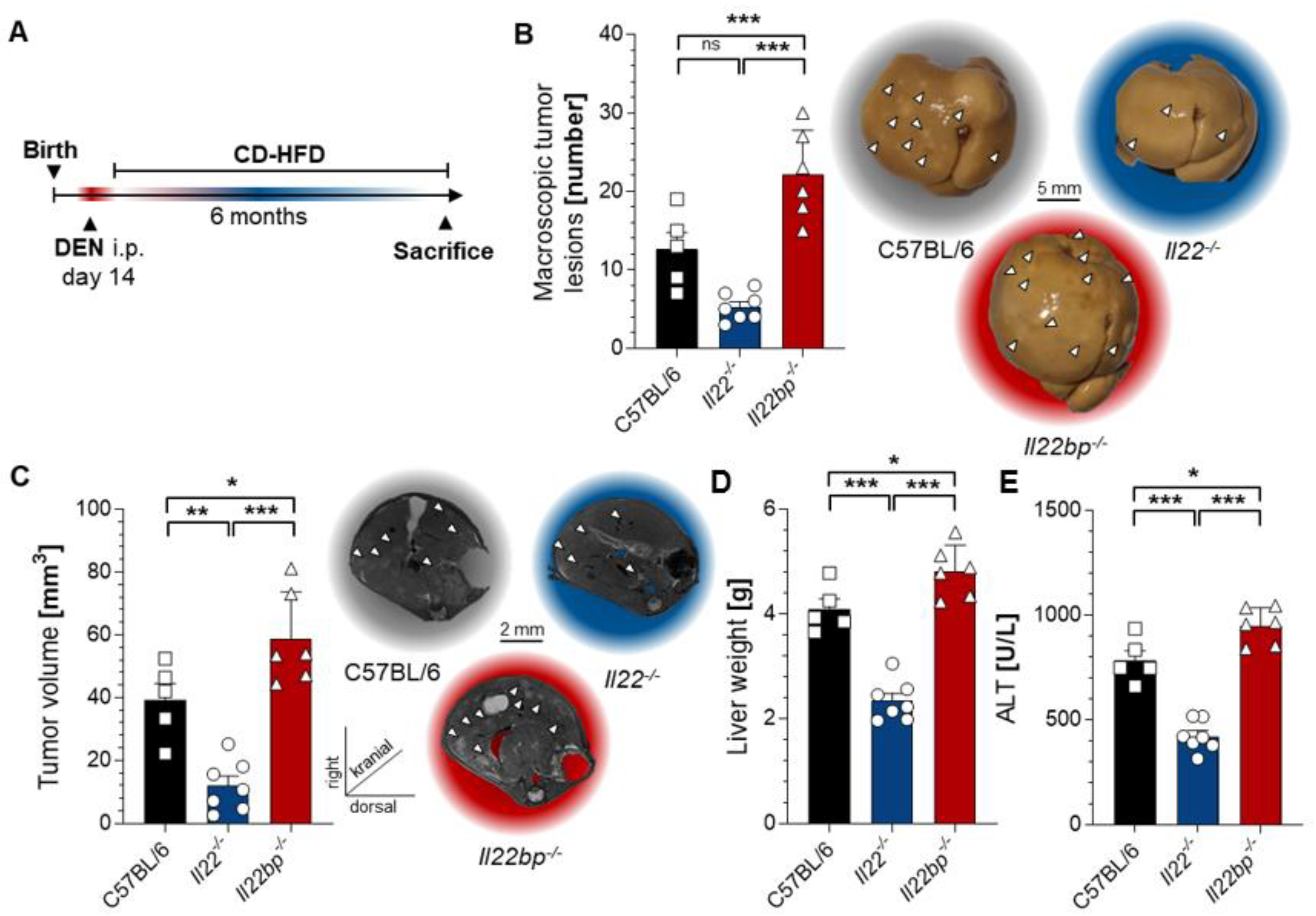 Cancers 14 06019 g002 Cancers 14 06019 g002
