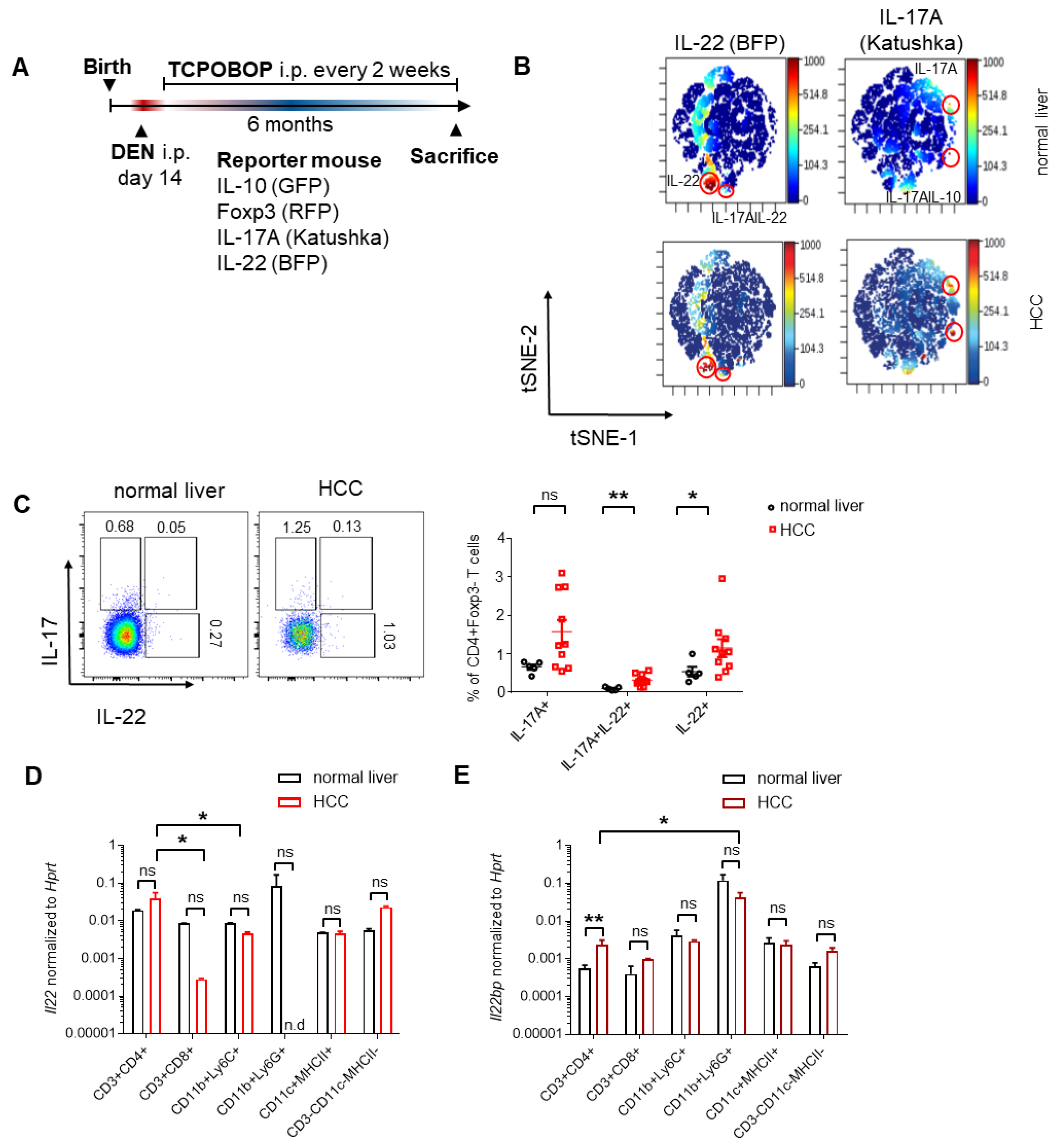 Cancers 14 06019 g003 Cancers 14 06019 g003