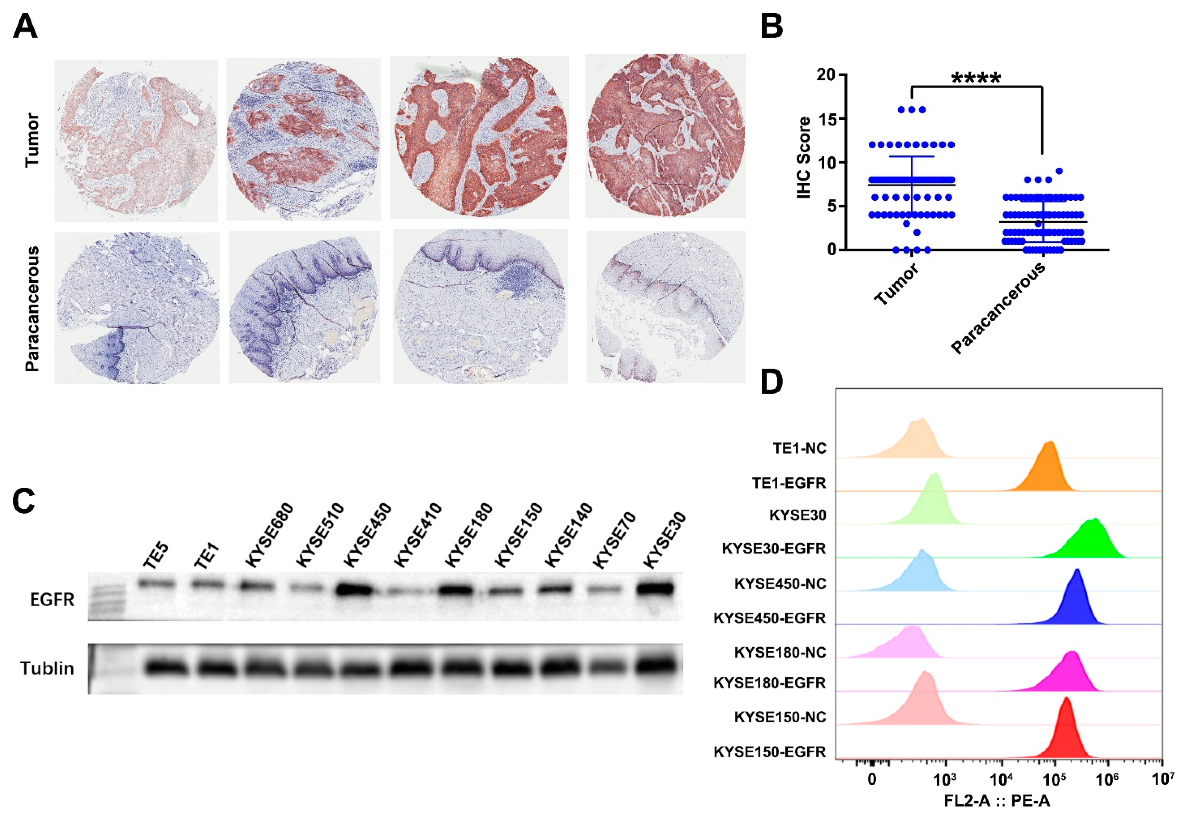Cancers 14 06021 g002 Cancers 14 06021 g002