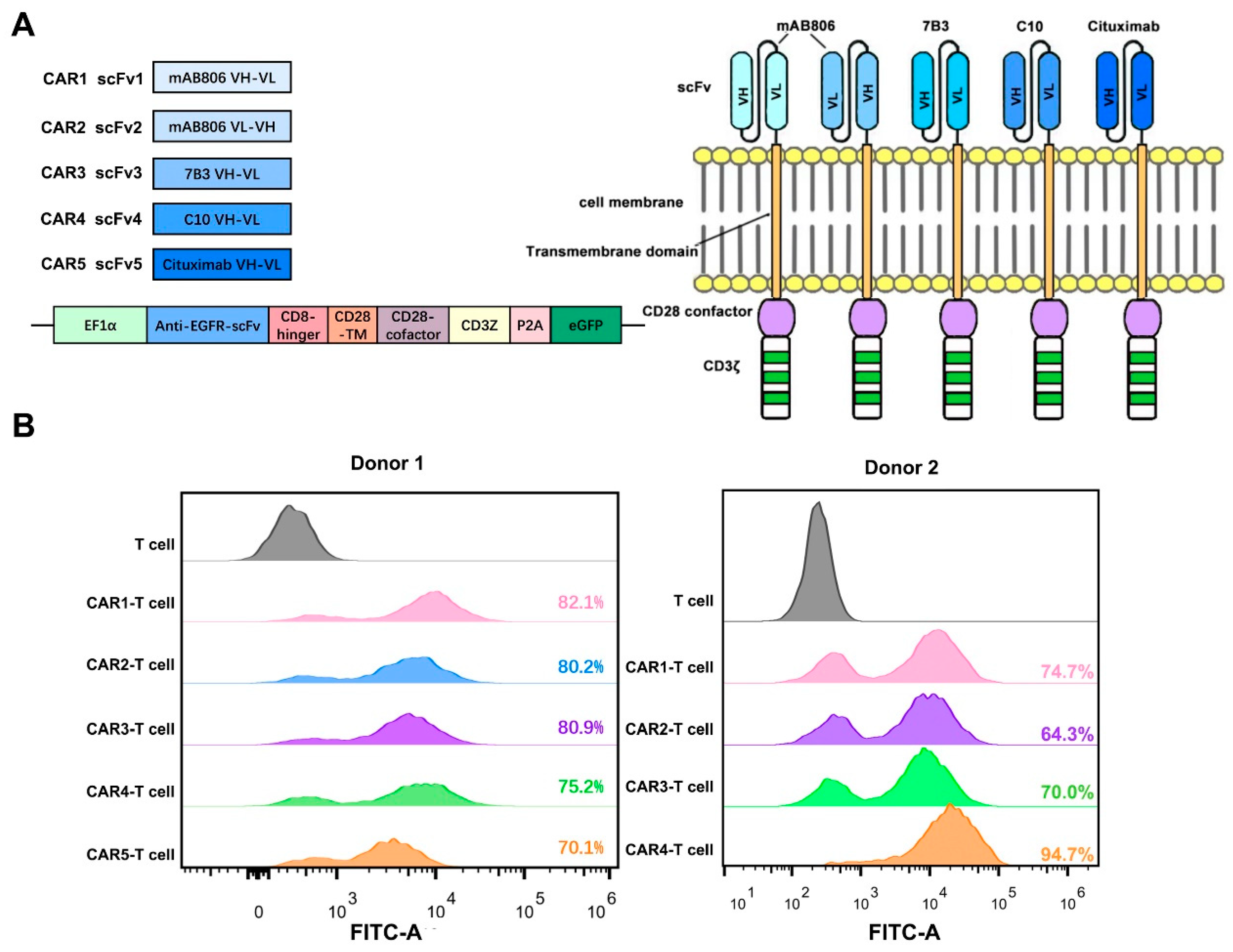 Cancers 14 06021 g003 Cancers 14 06021 g003