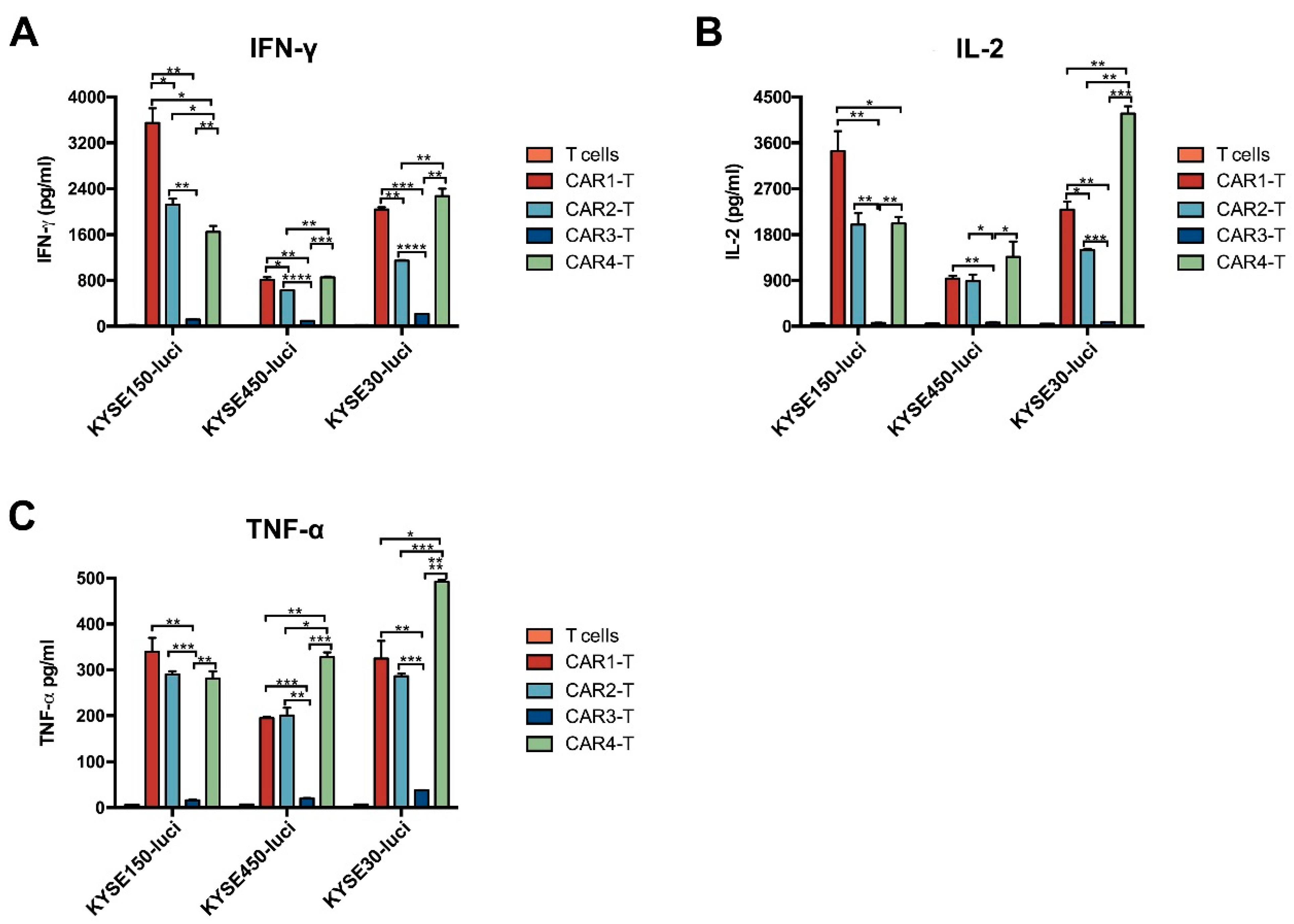 Cancers 14 06021 g005 Cancers 14 06021 g005