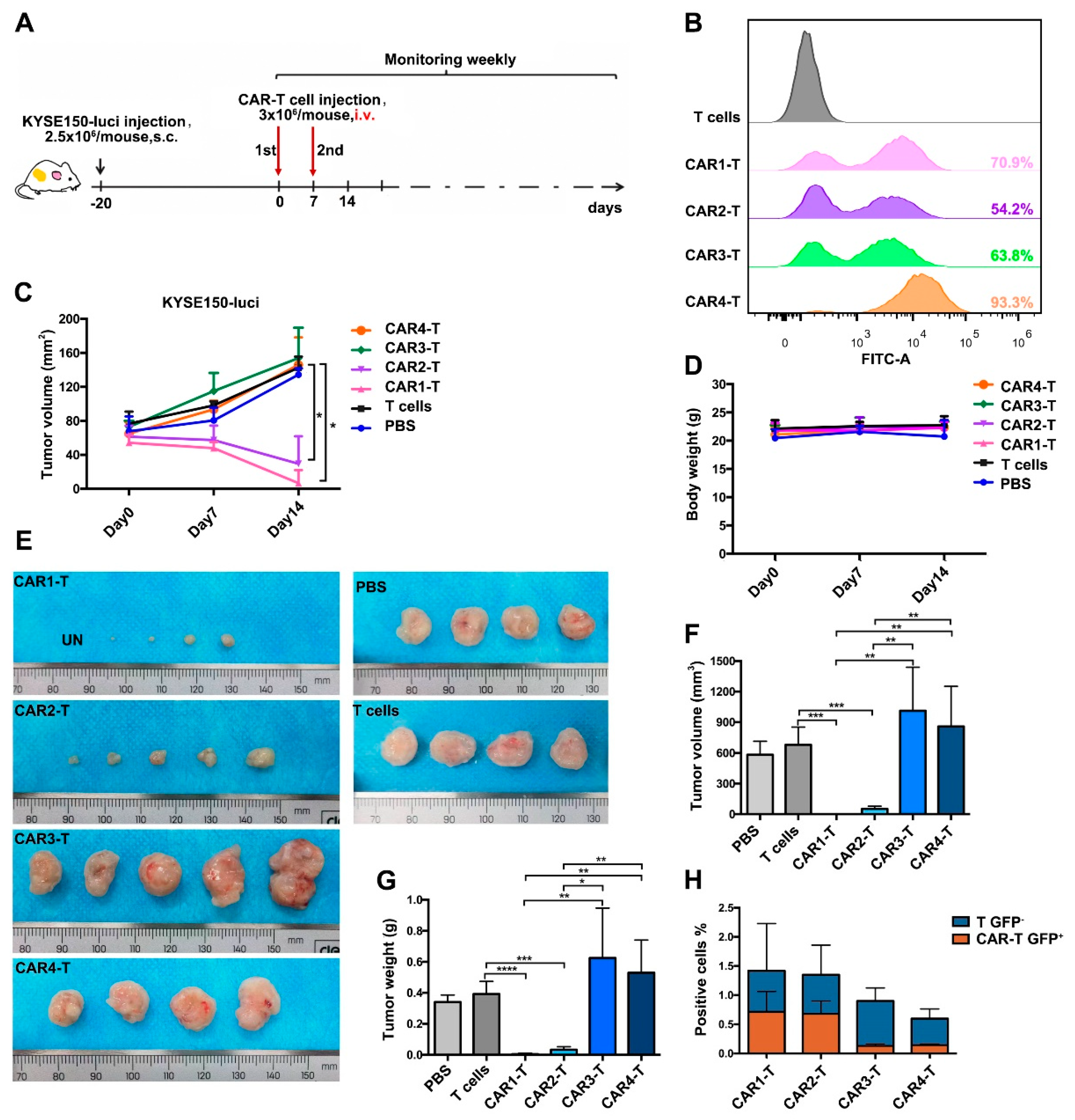 Cancers 14 06021 g006 Cancers 14 06021 g006