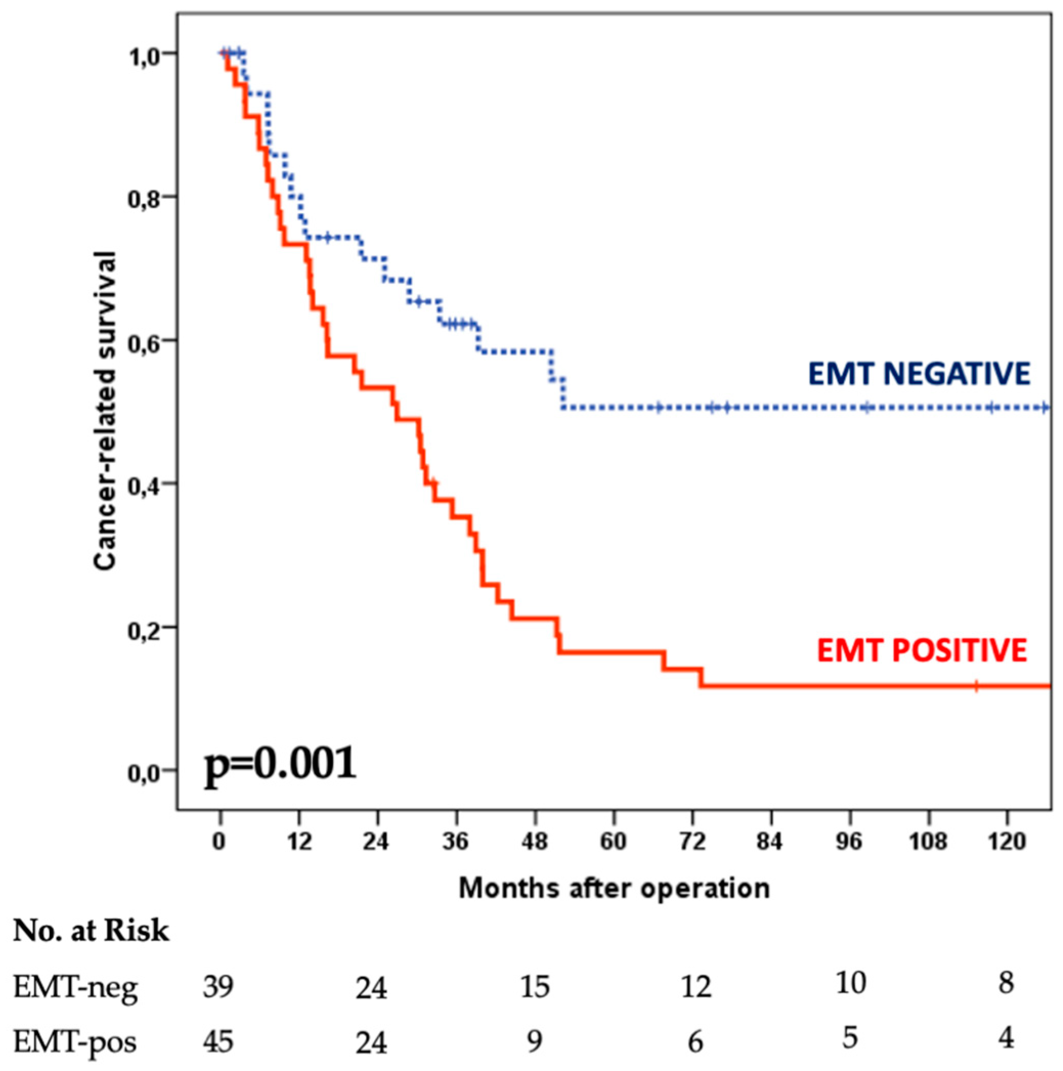 Cancers 14 06023 g004 Cancers 14 06023 g004