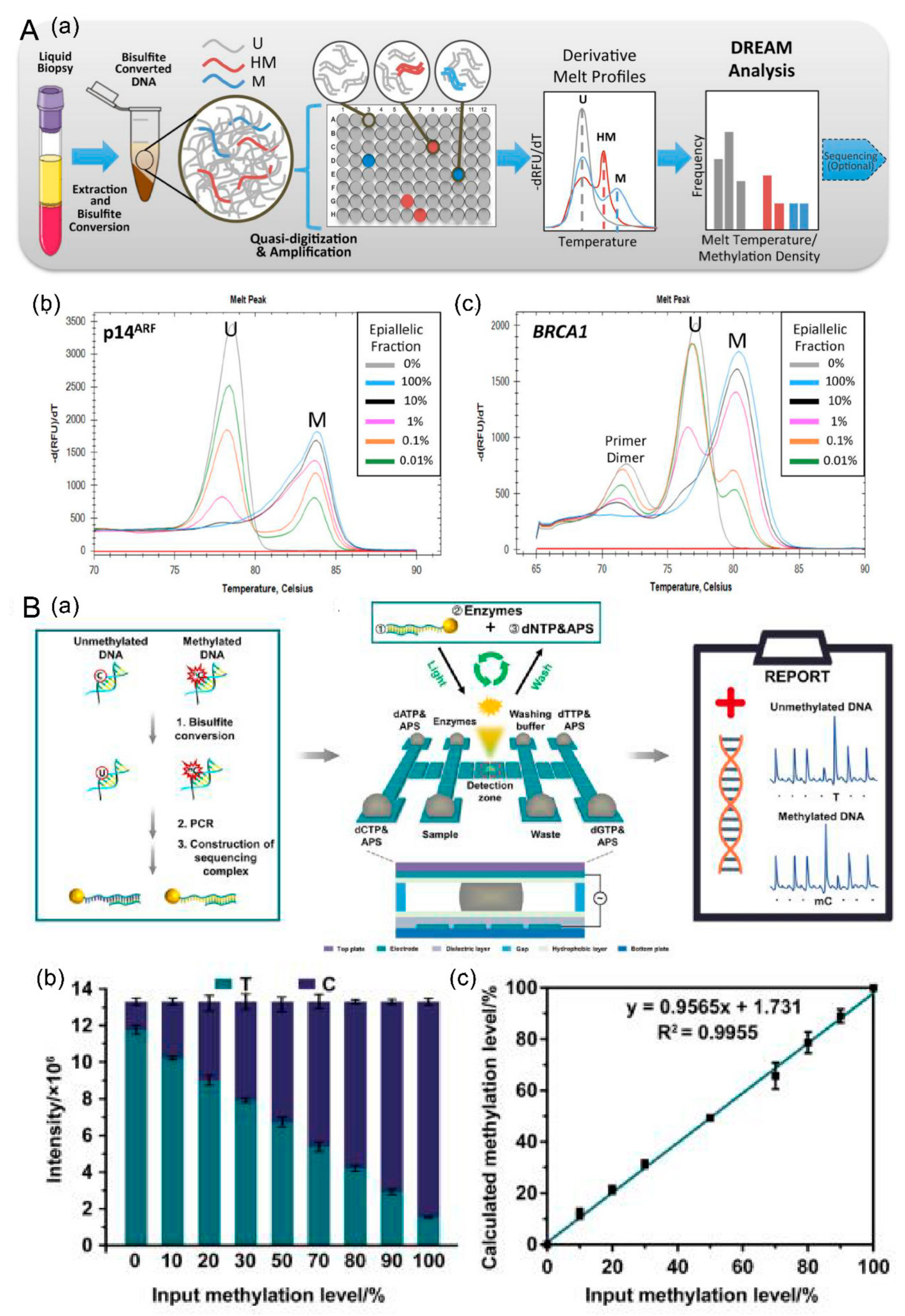 Cancers 14 06025 g004a Cancers 14 06025 g004a