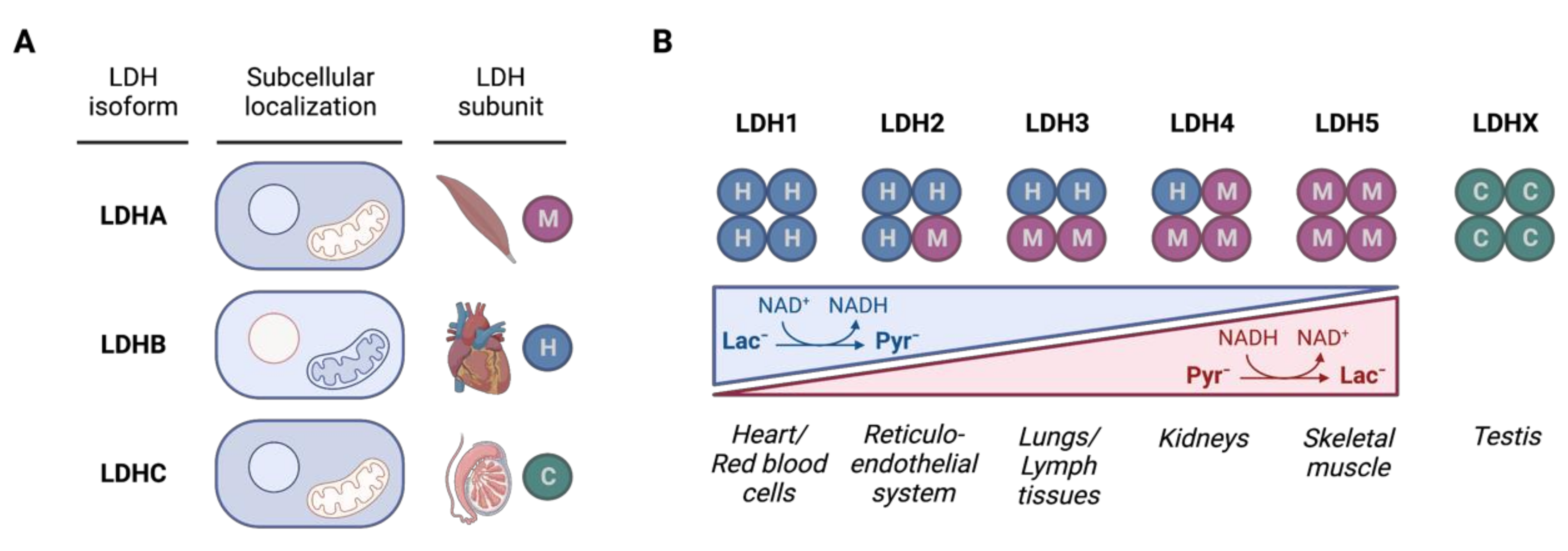 Cancers 14 06028 g003 Cancers 14 06028 g003