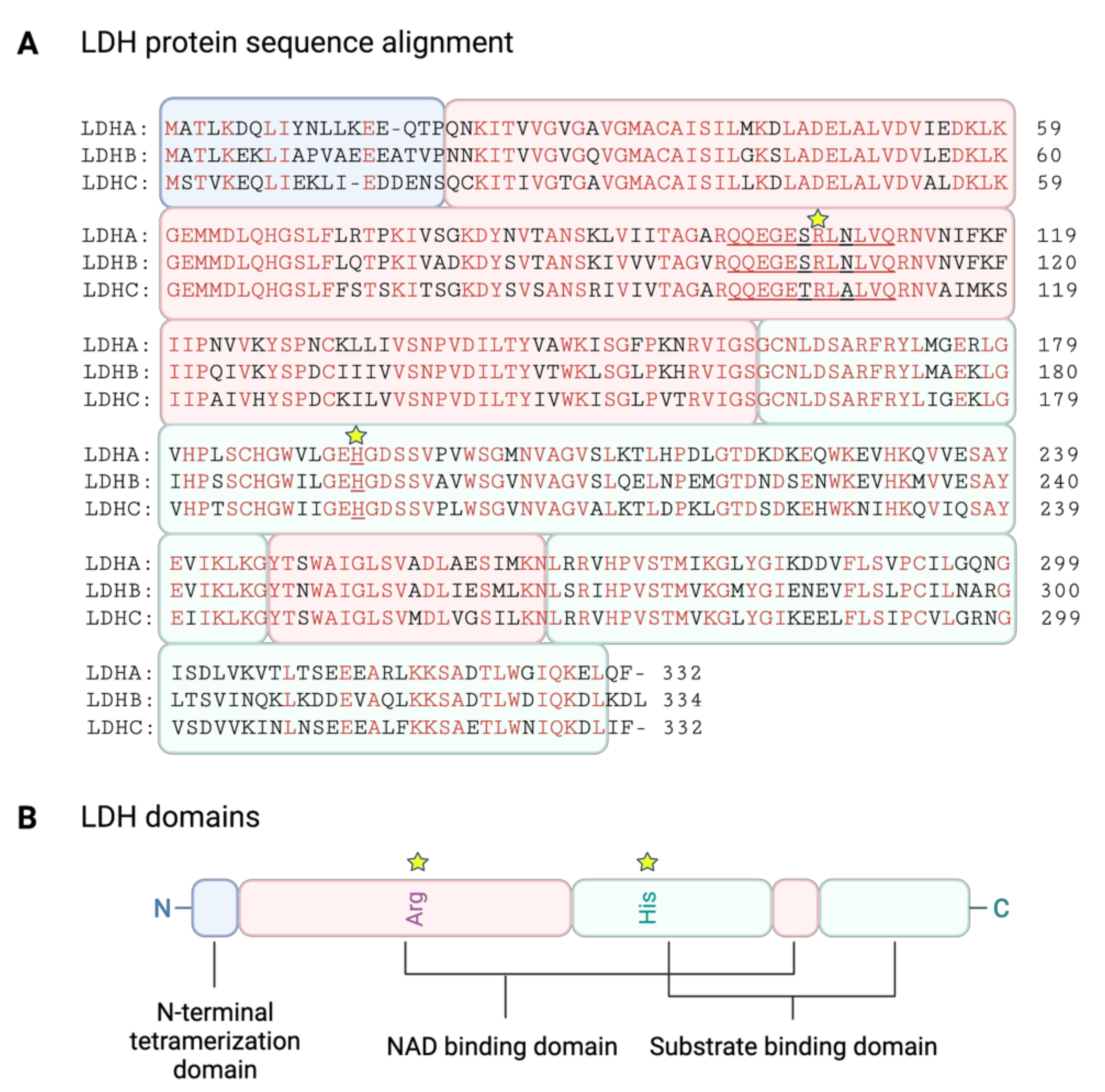 Cancers 14 06028 g004 Cancers 14 06028 g004