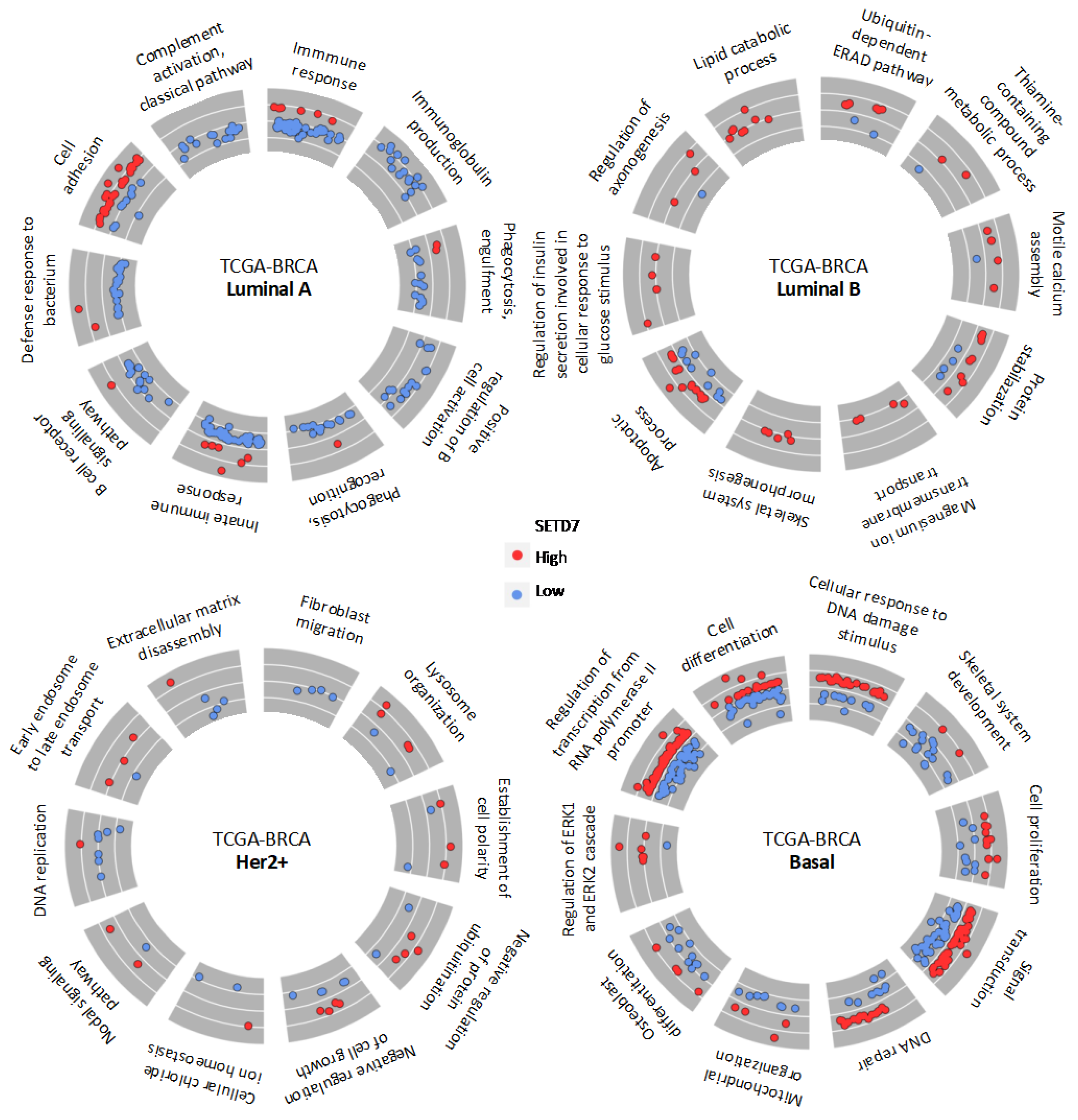 Cancers 14 06029 g003 Cancers 14 06029 g003