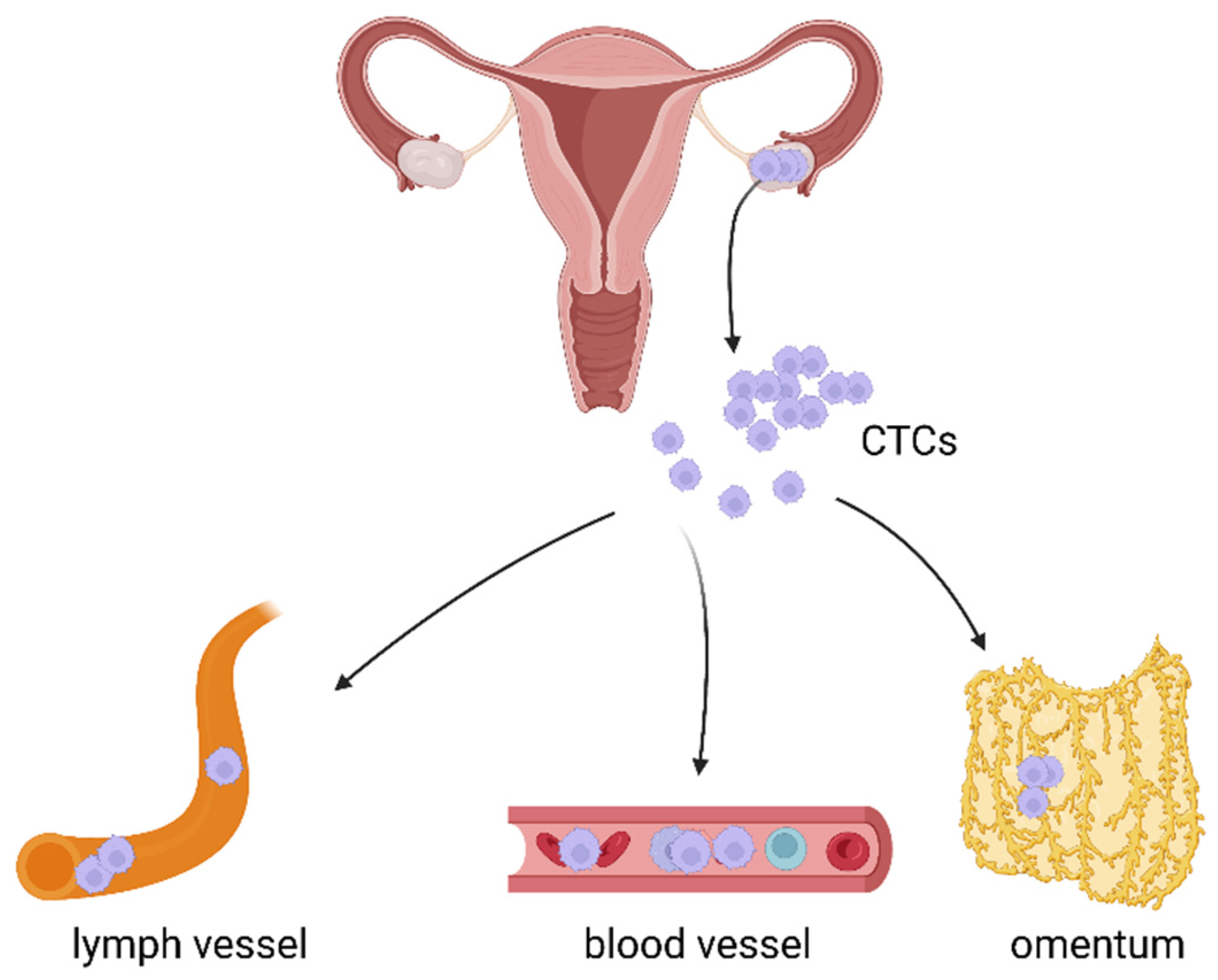 Cancers 14 06030 g001 Cancers 14 06030 g001