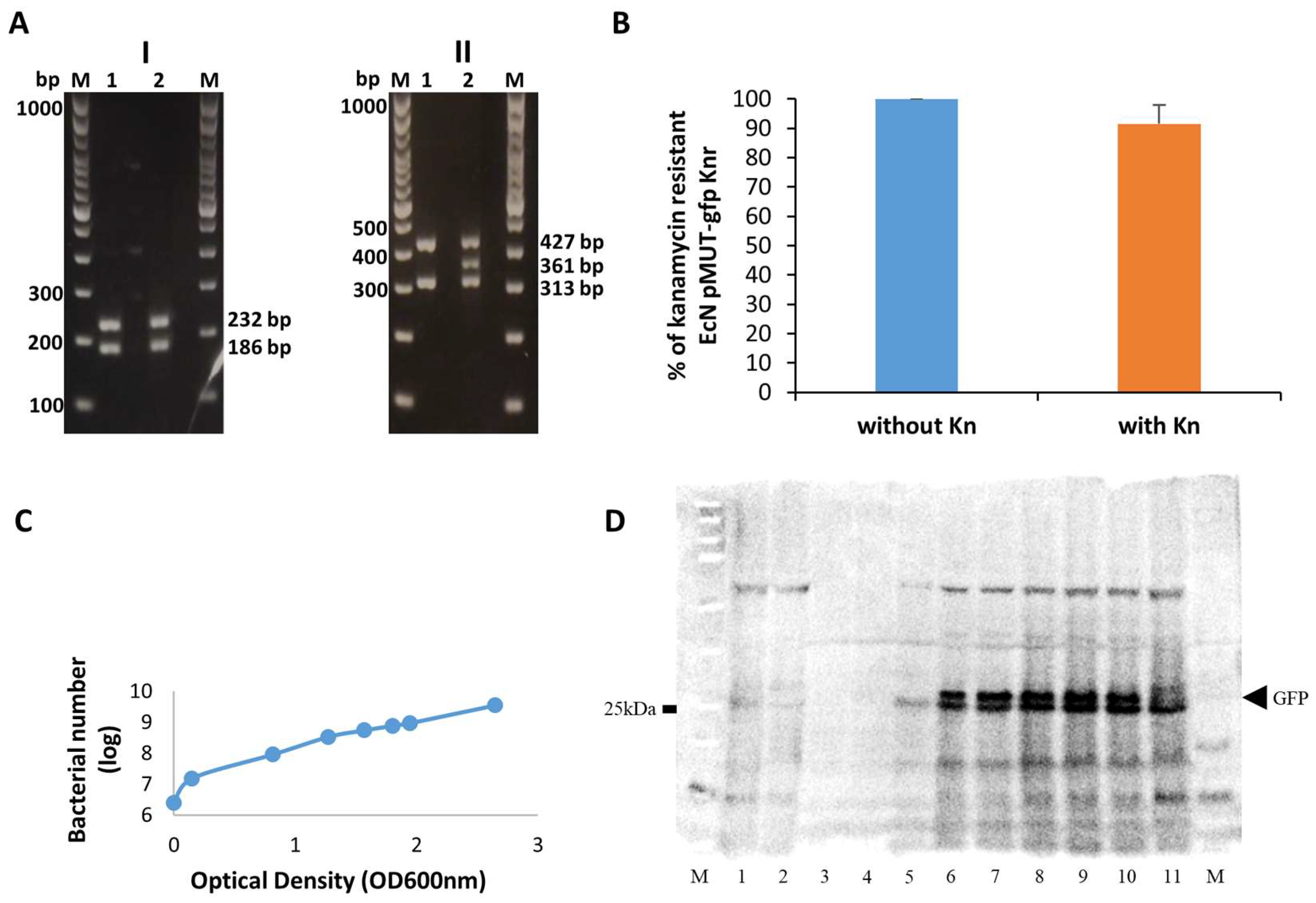 Cancers 14 06033 g001 Cancers 14 06033 g001