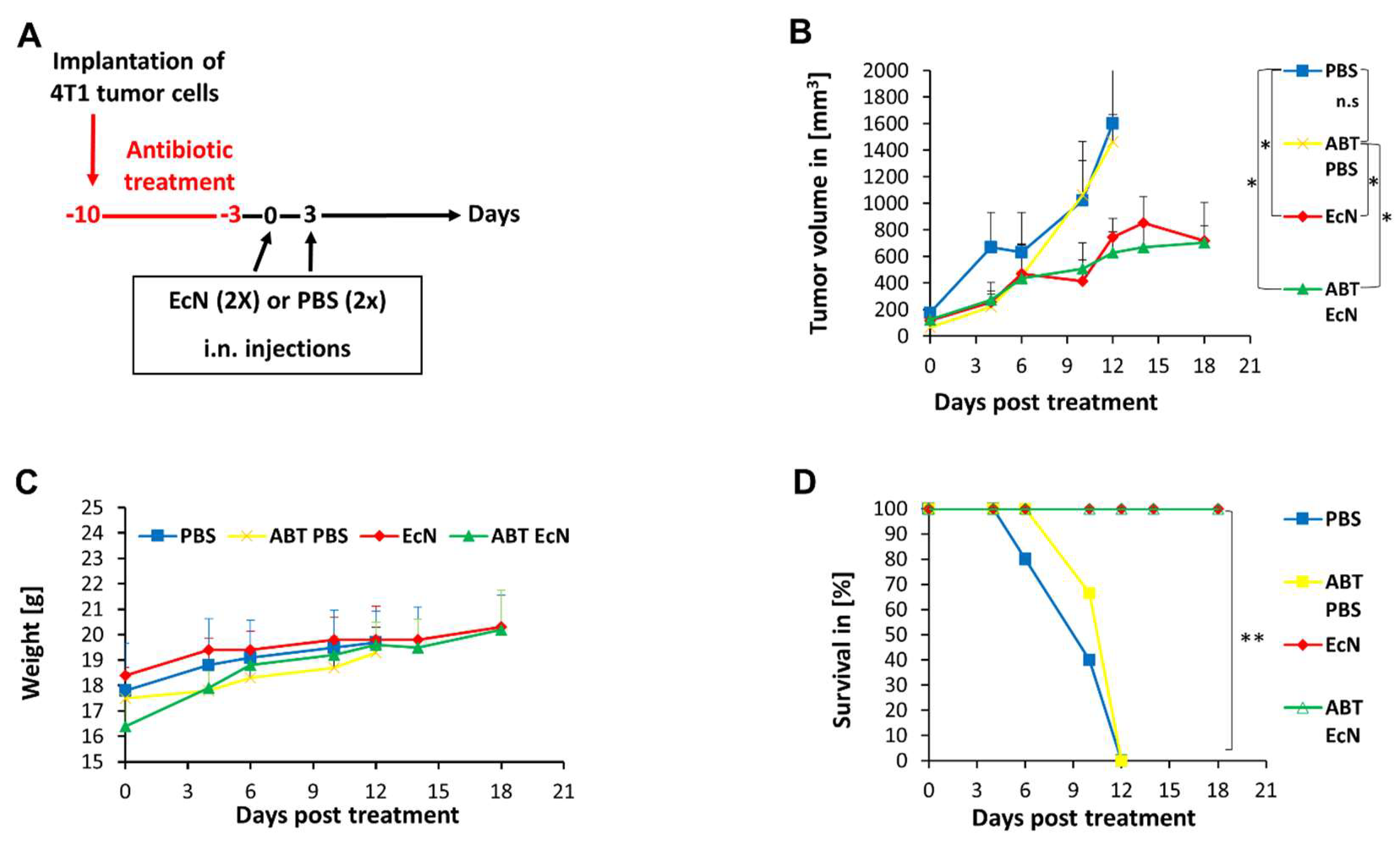 Cancers Free Full Text Tumor Colonization And Therapy By Free Hot cancers-free-full-text-tumor-colonization-and-therapy-by-free-hot