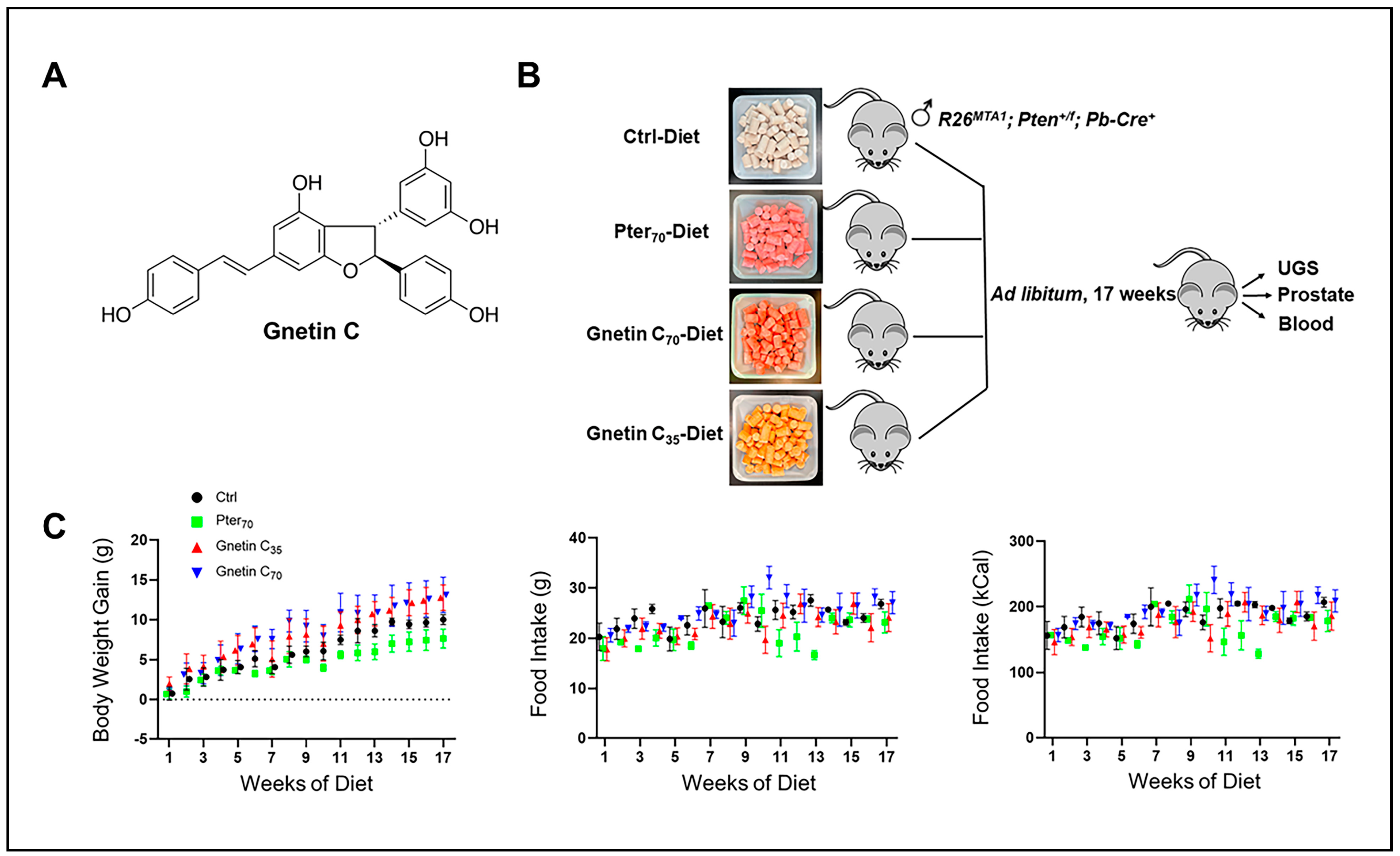 Cancers 14 06038 g001 Cancers 14 06038 g001