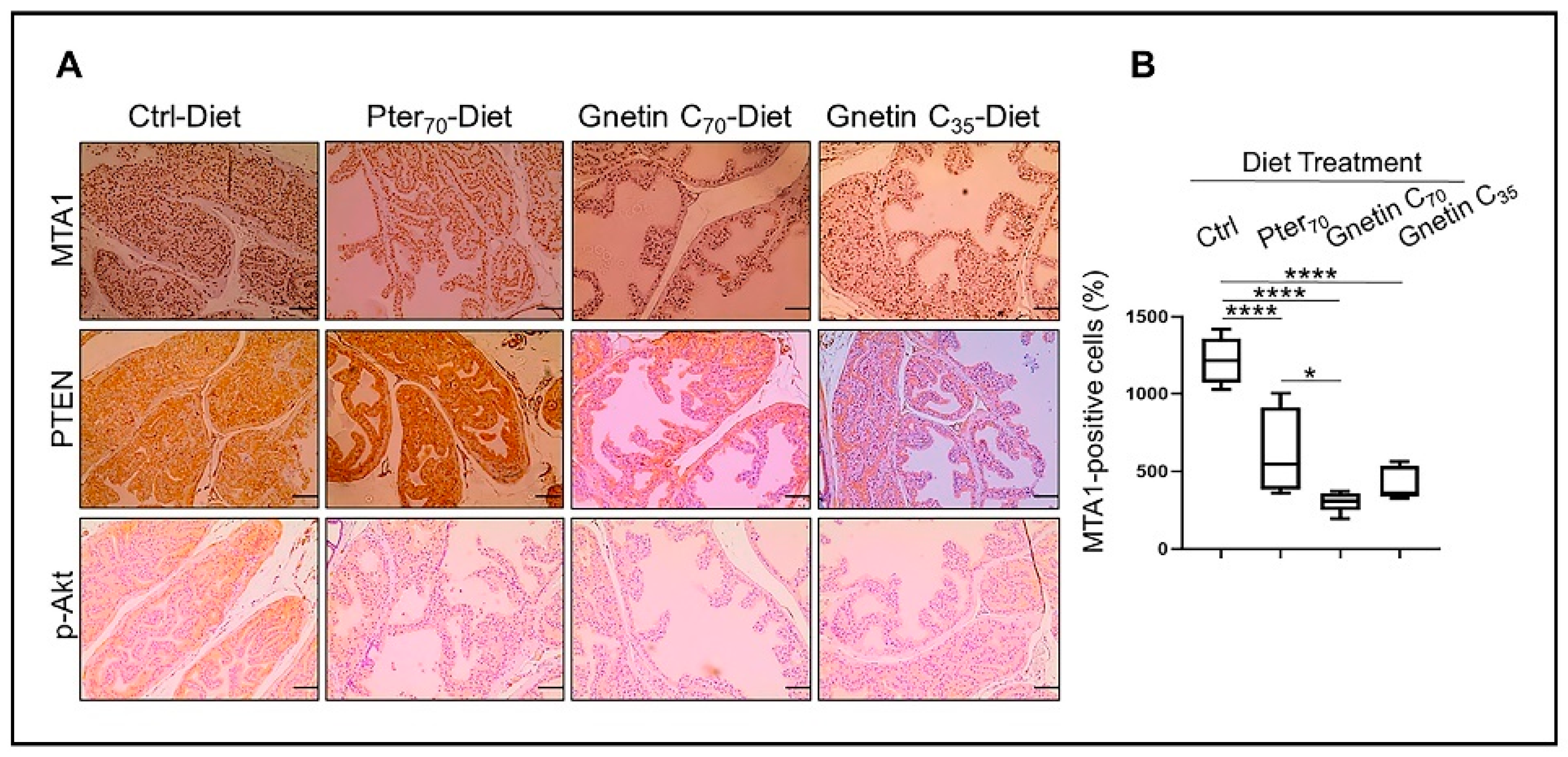 Cancers 14 06038 g003 Cancers 14 06038 g003