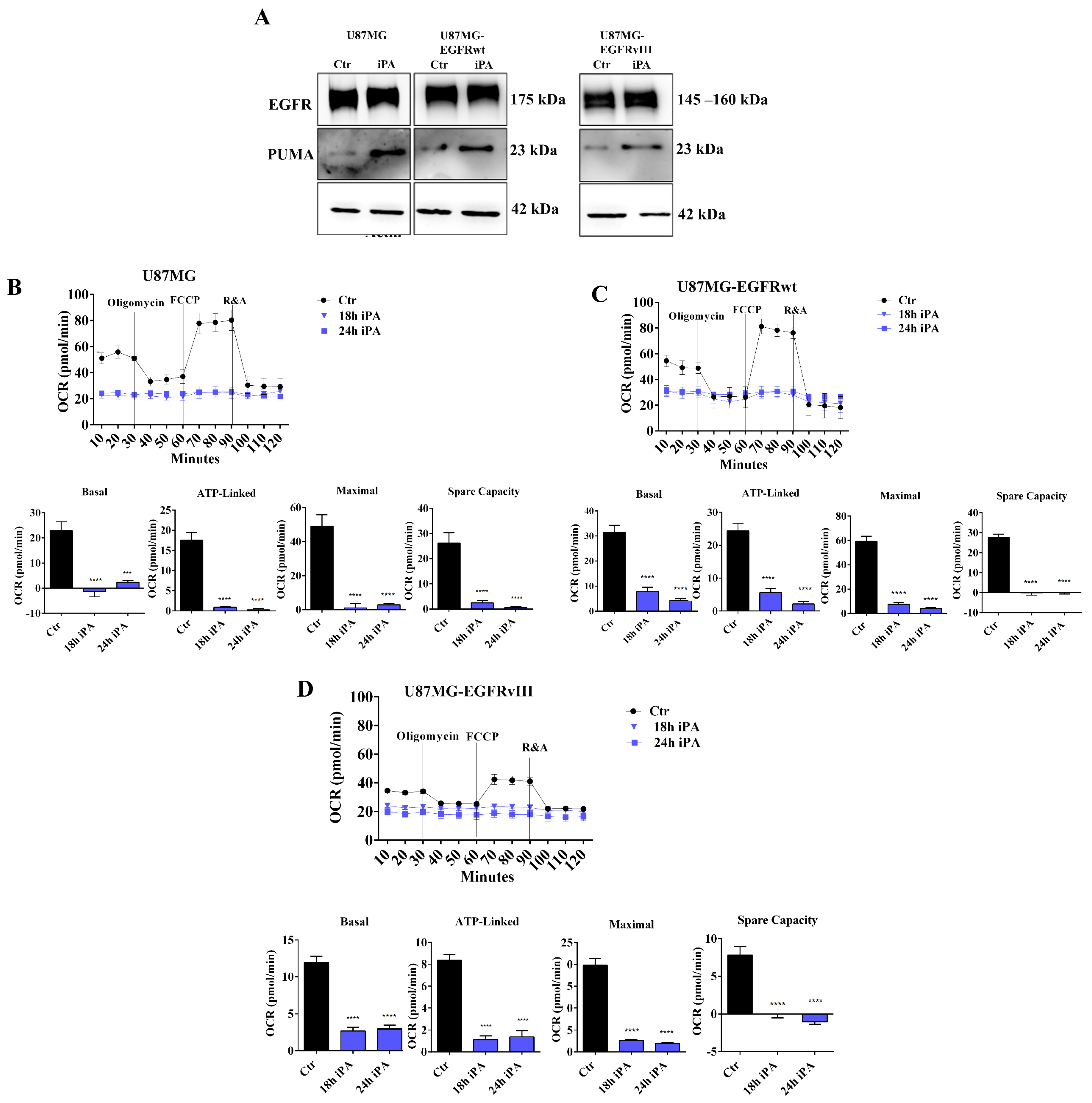 Cancers 14 06044 g001 Cancers 14 06044 g001