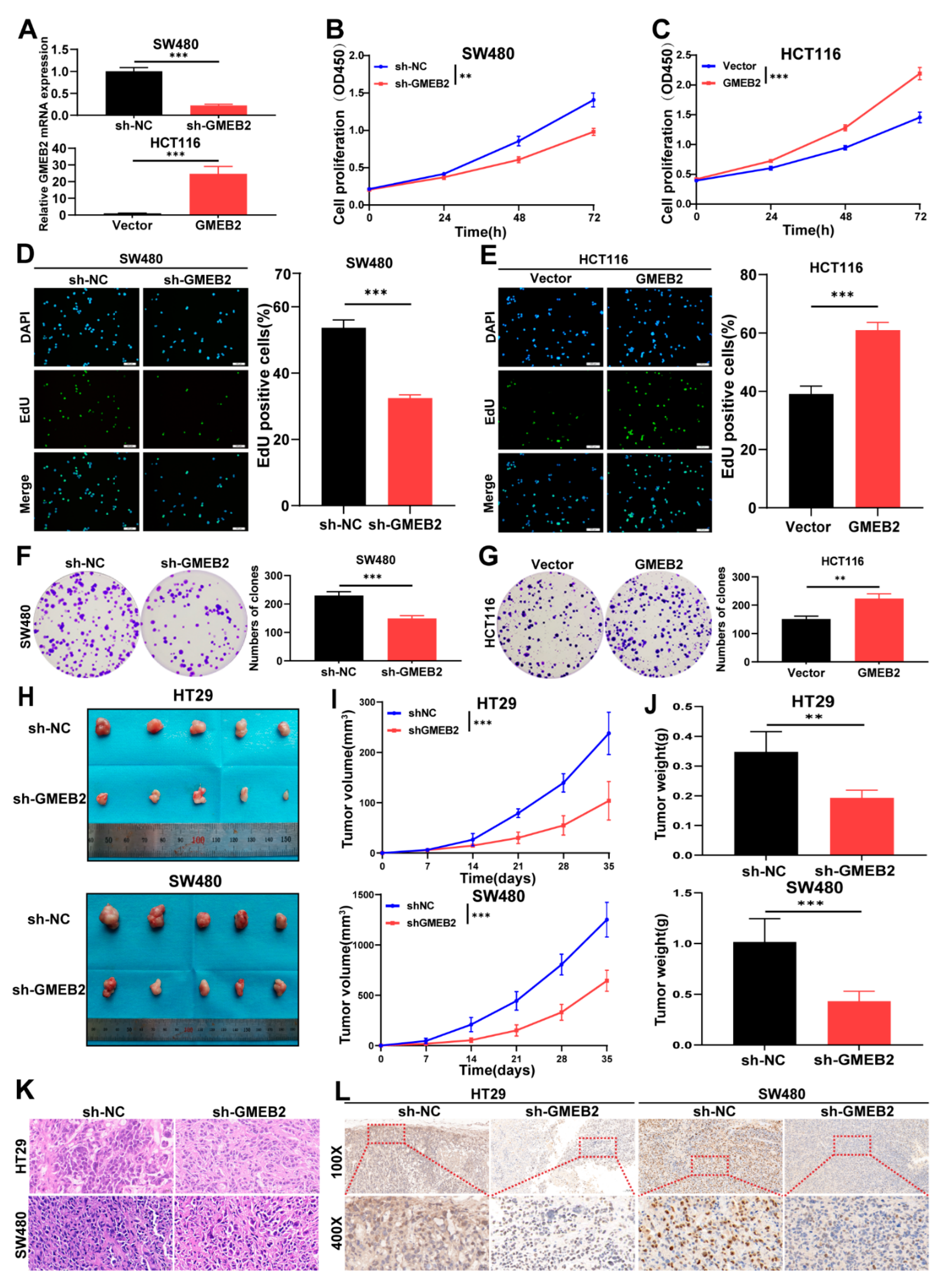 Cancers 14 06046 g002