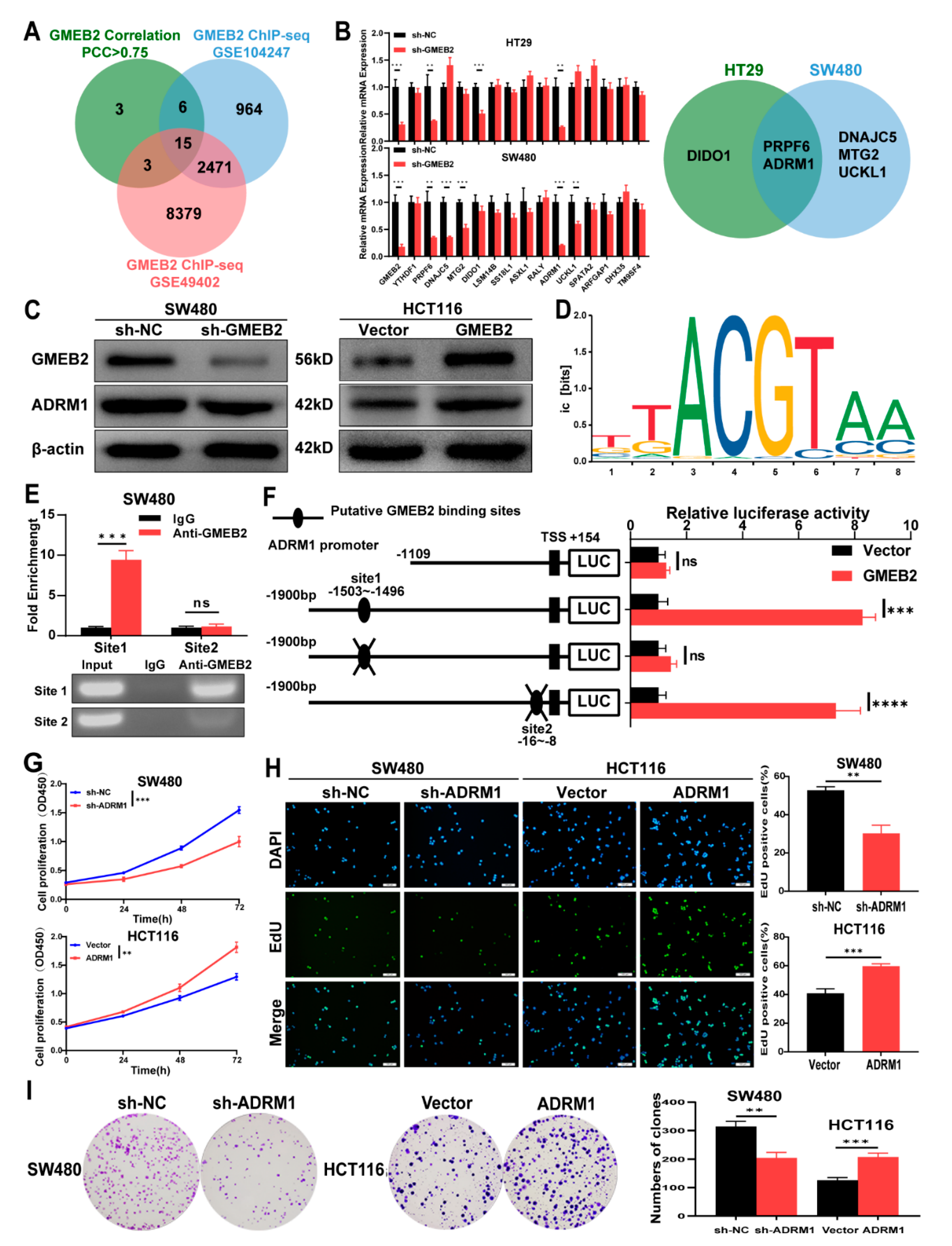 Cancers 14 06046 g003