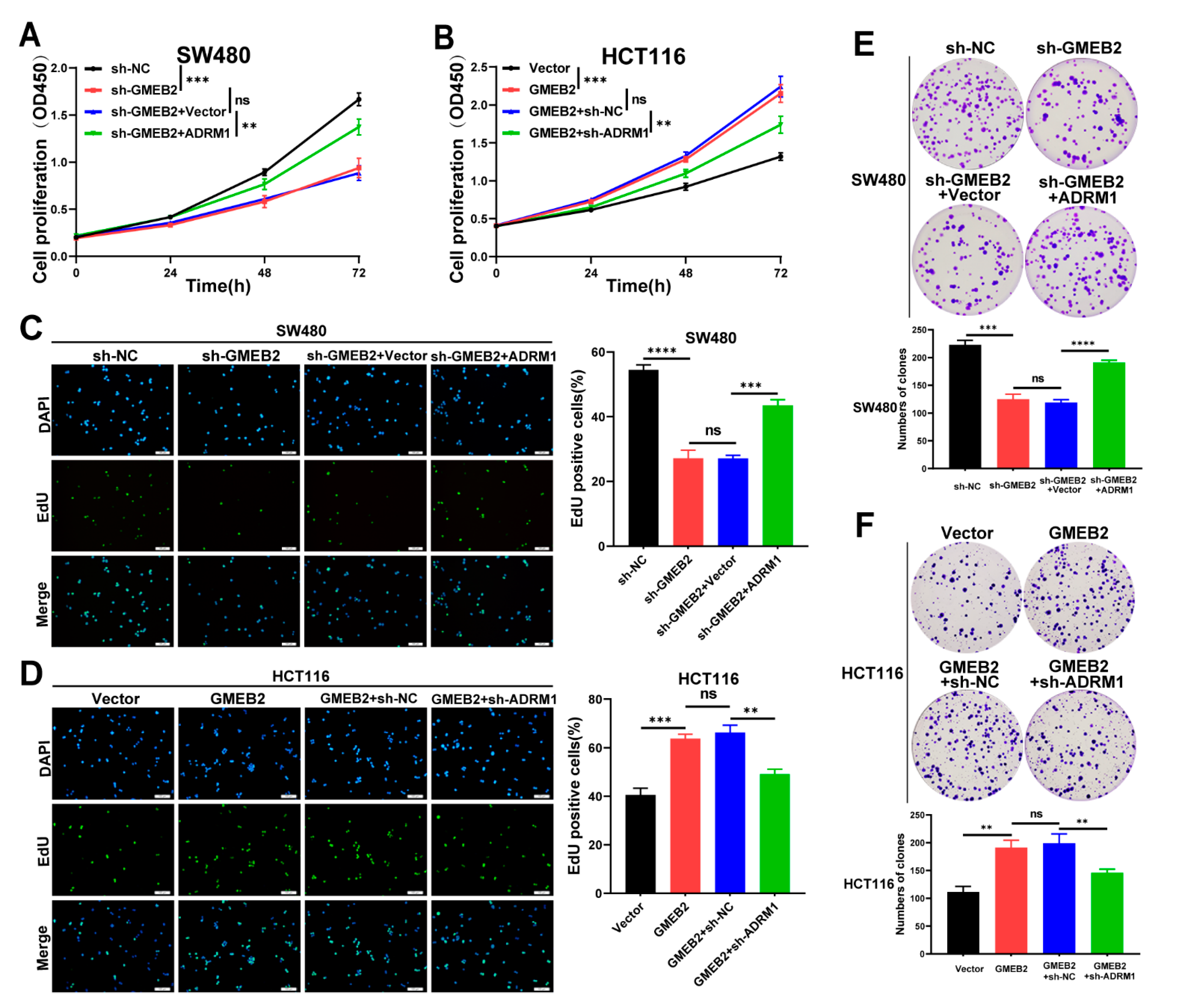 Cancers 14 06046 g004