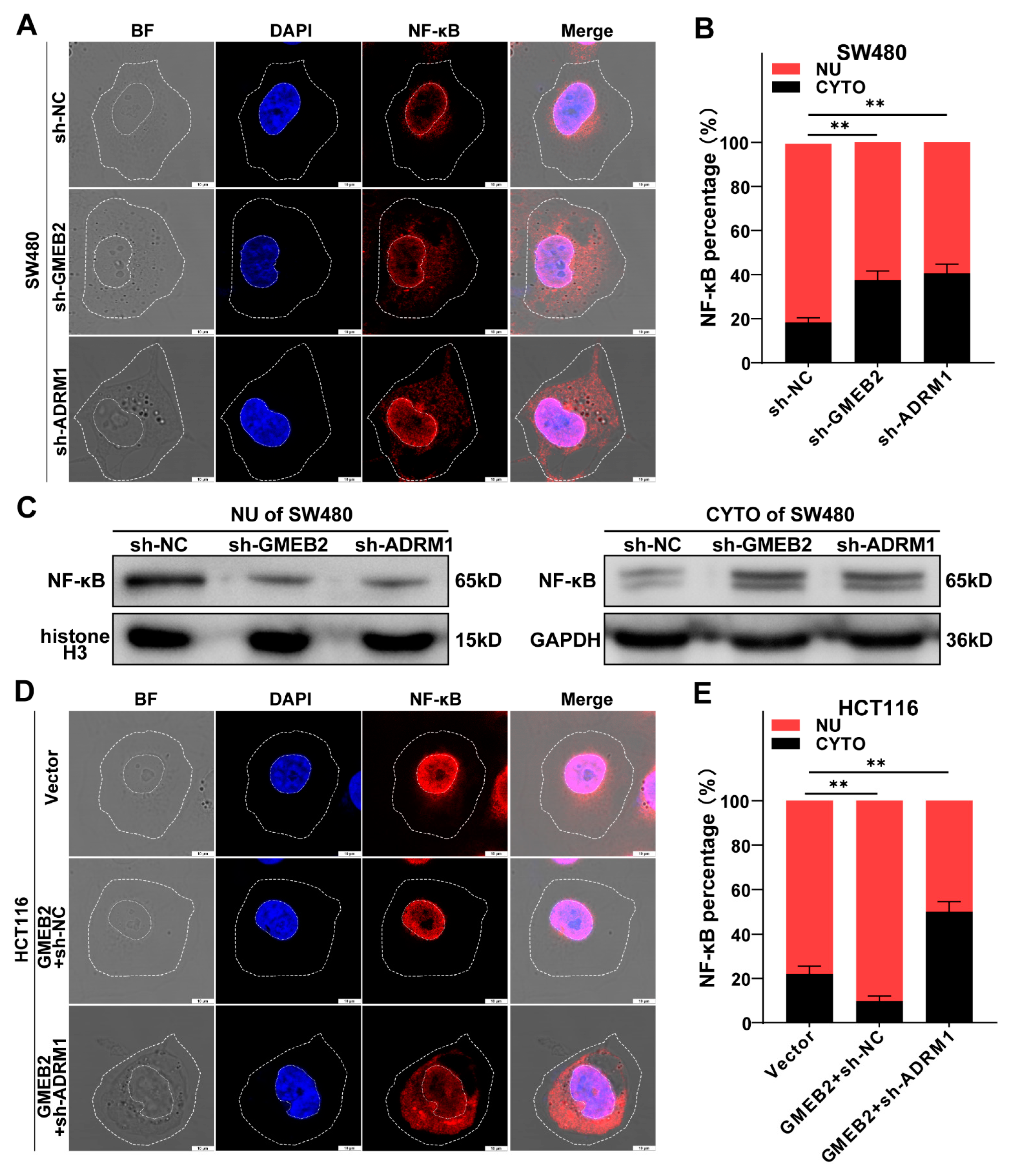 Cancers 14 06046 g005